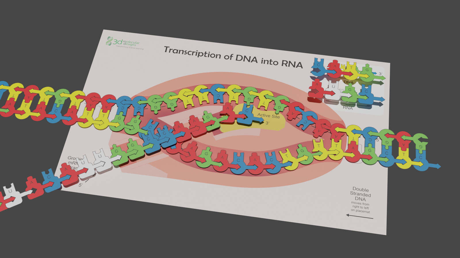 Transcription of DNA into RNA