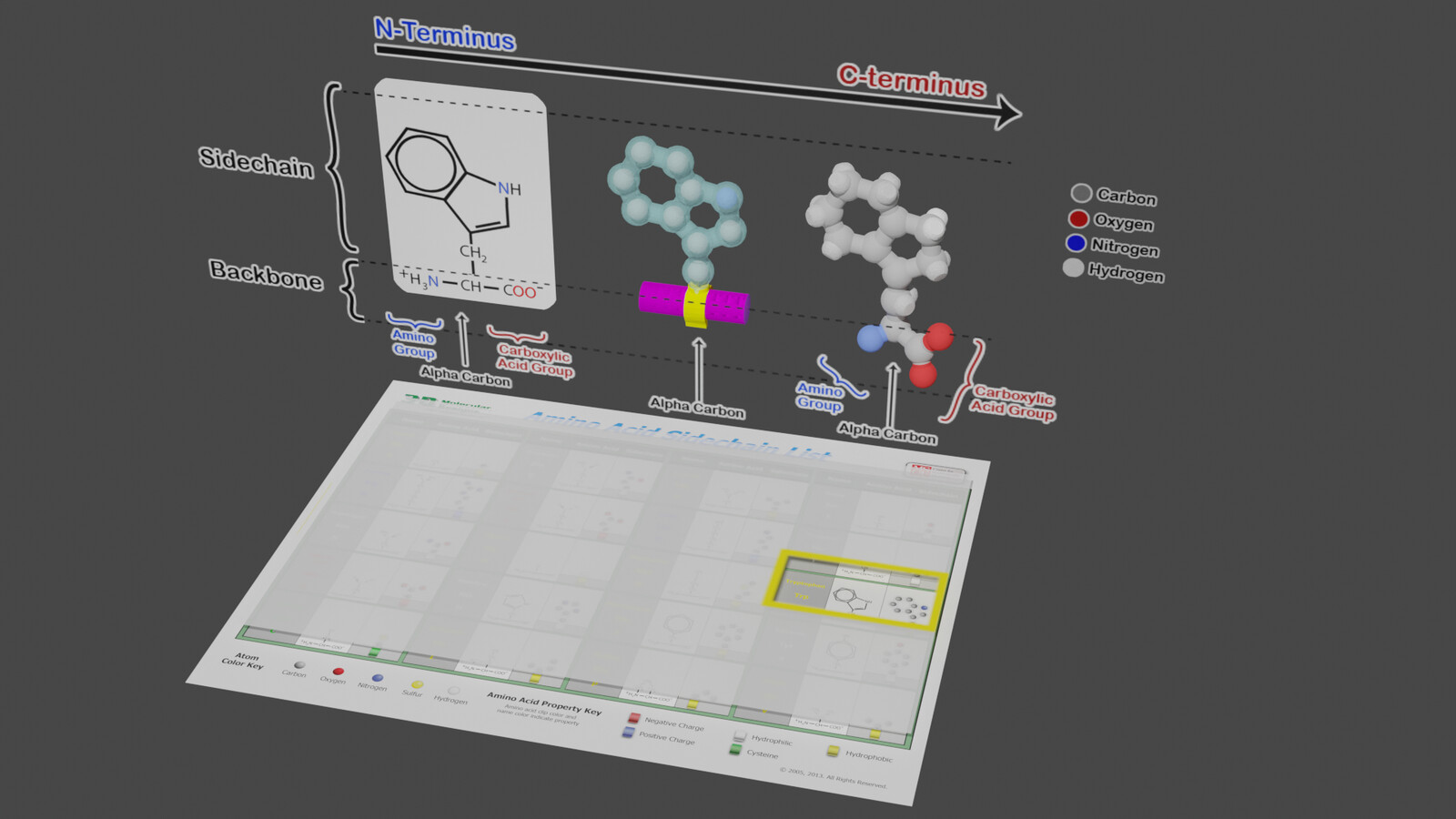 3DMD: AASK (Amino Acid Starter Kit) AR