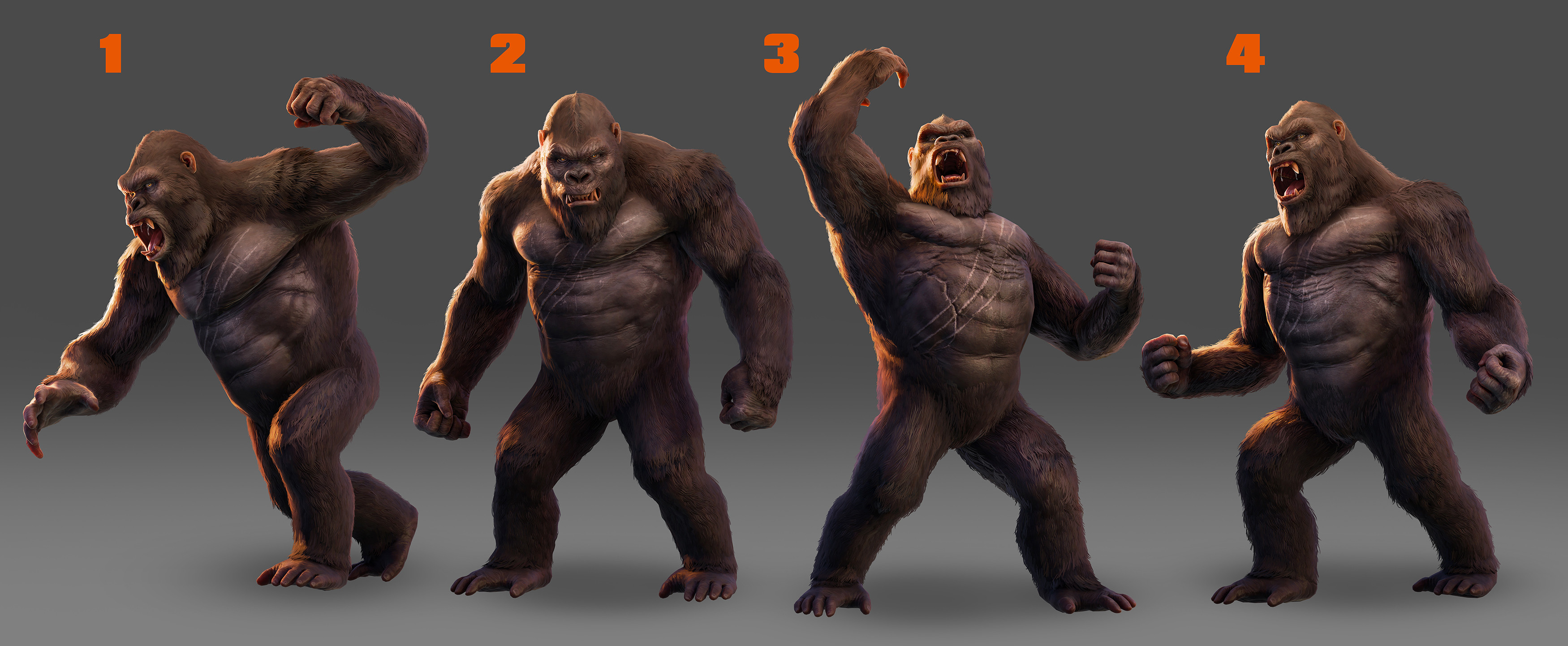 Kong high quality Illustrations