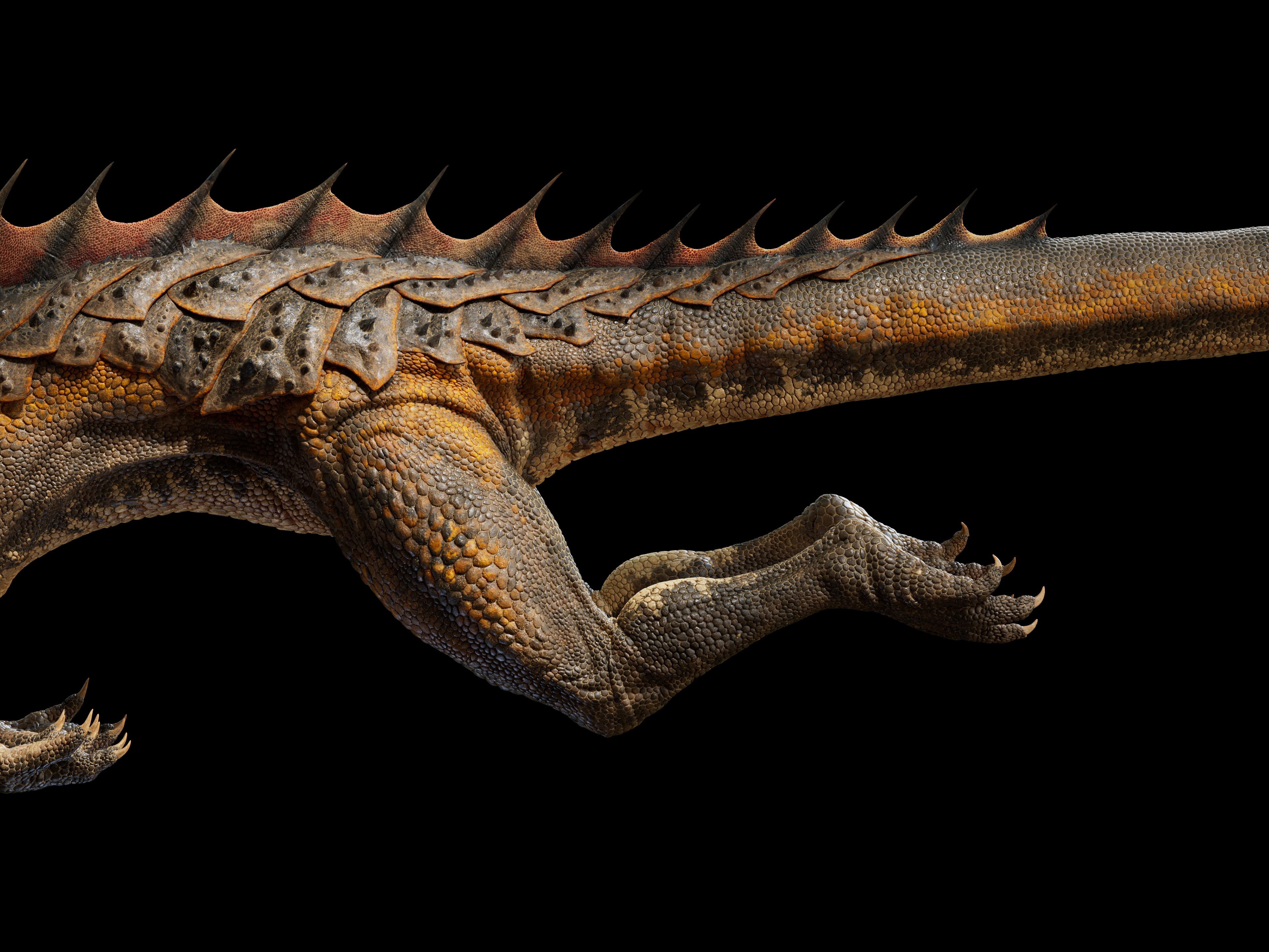 side view showing the texturing