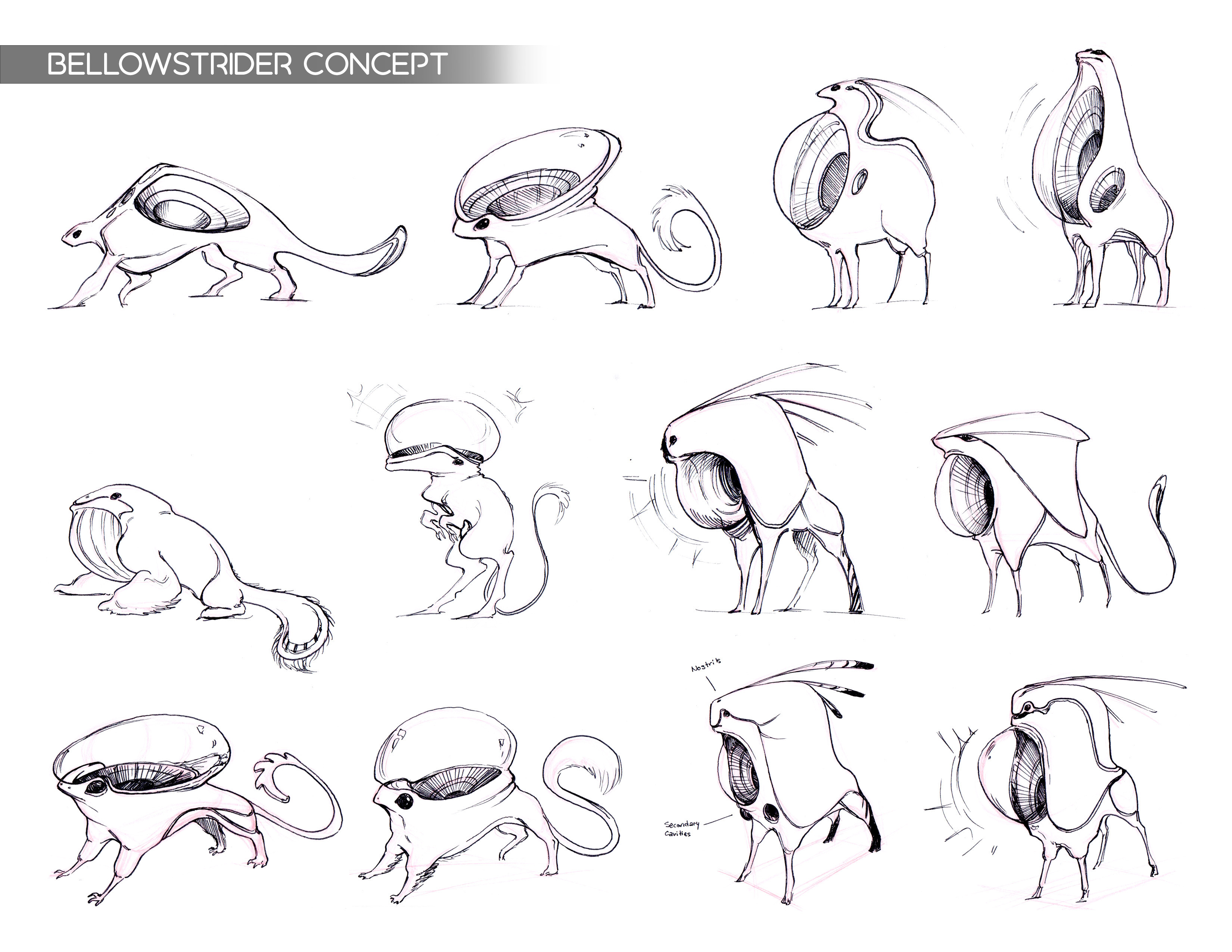 Bellowstrider Concept Thumbnails- designs for a creature that communicates and defends itself through low-frequency bellows.