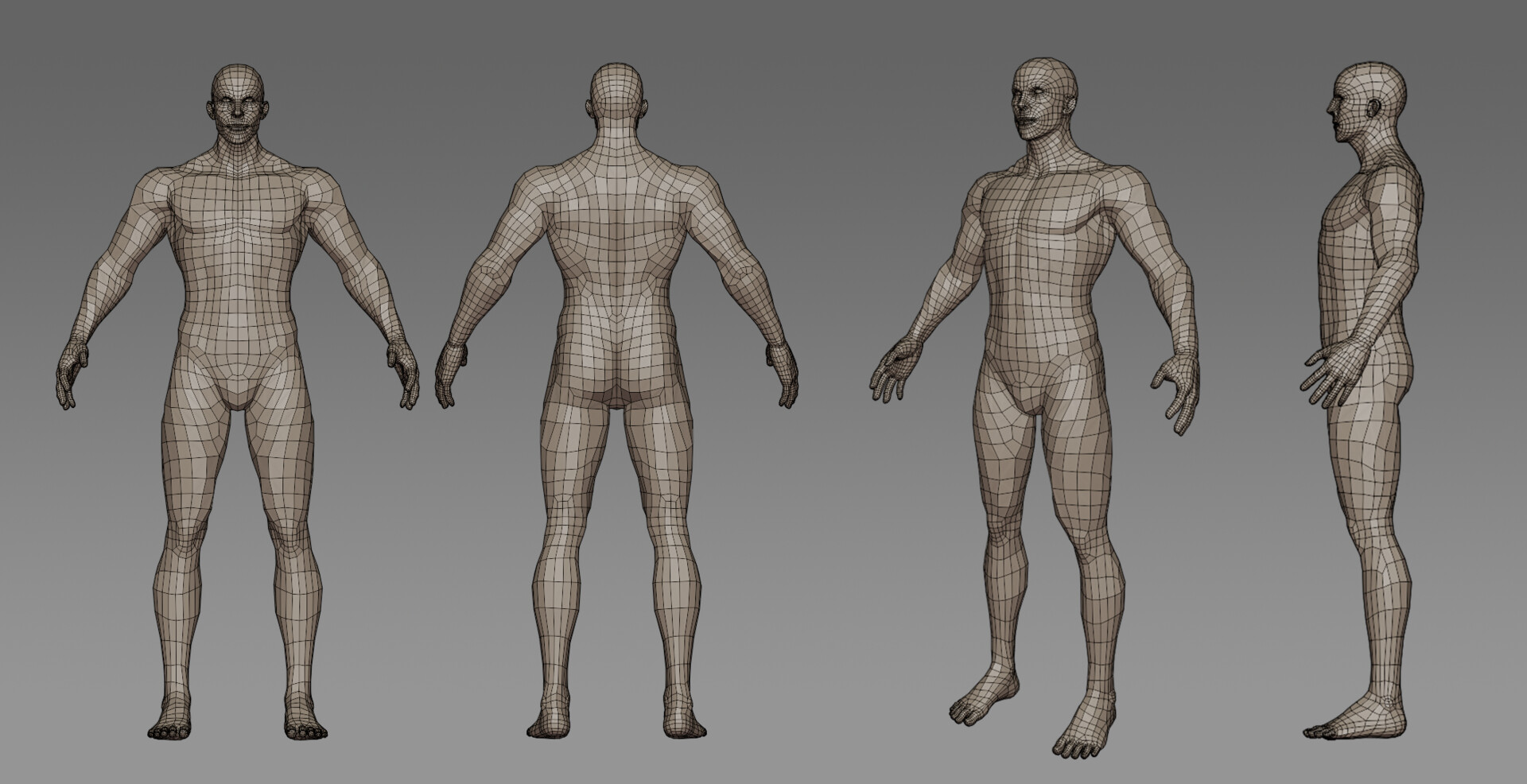 Мышцы человека. Полигональная модель человека. Body layer. Body layer. Анатомия человека stylized.