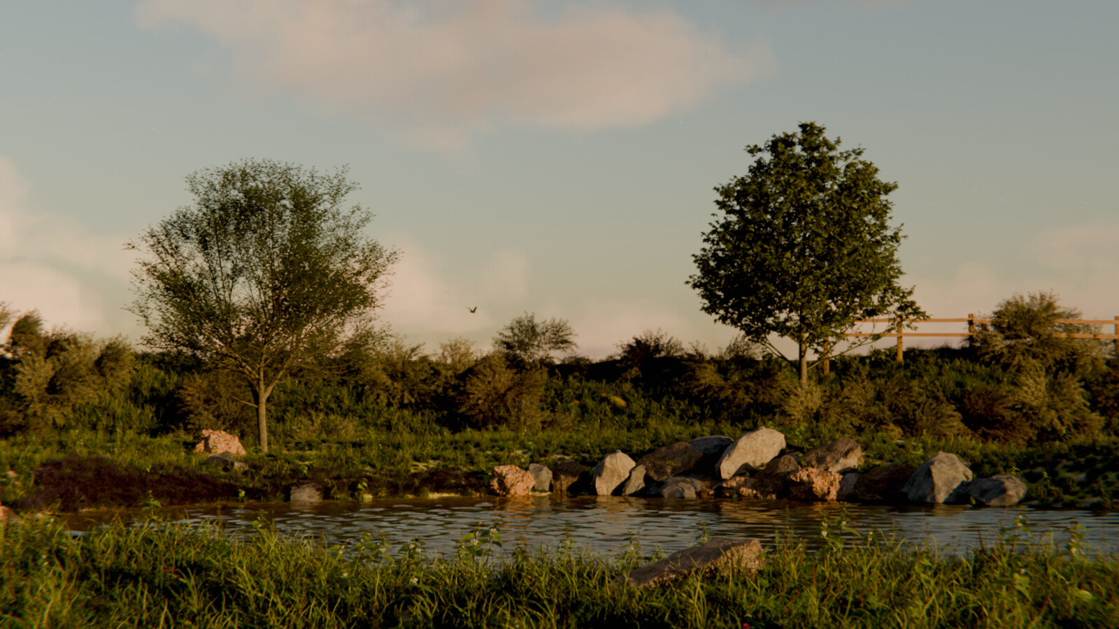 Still Image