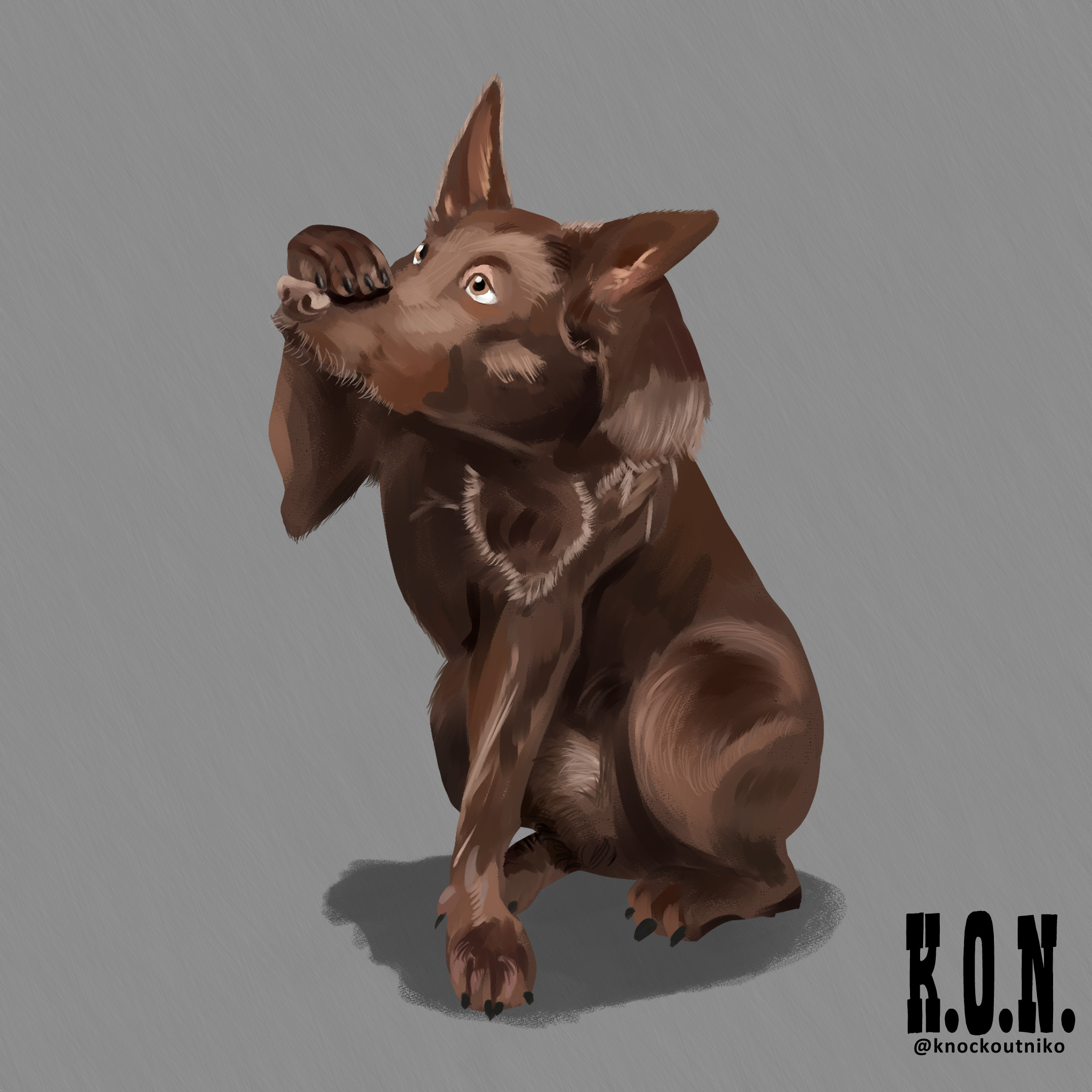 Australian Kelpie