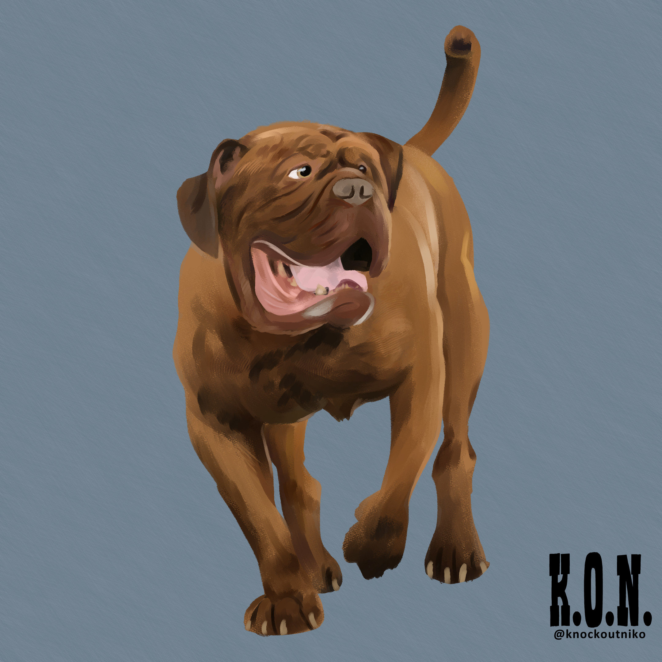 Douge De Bordeaux