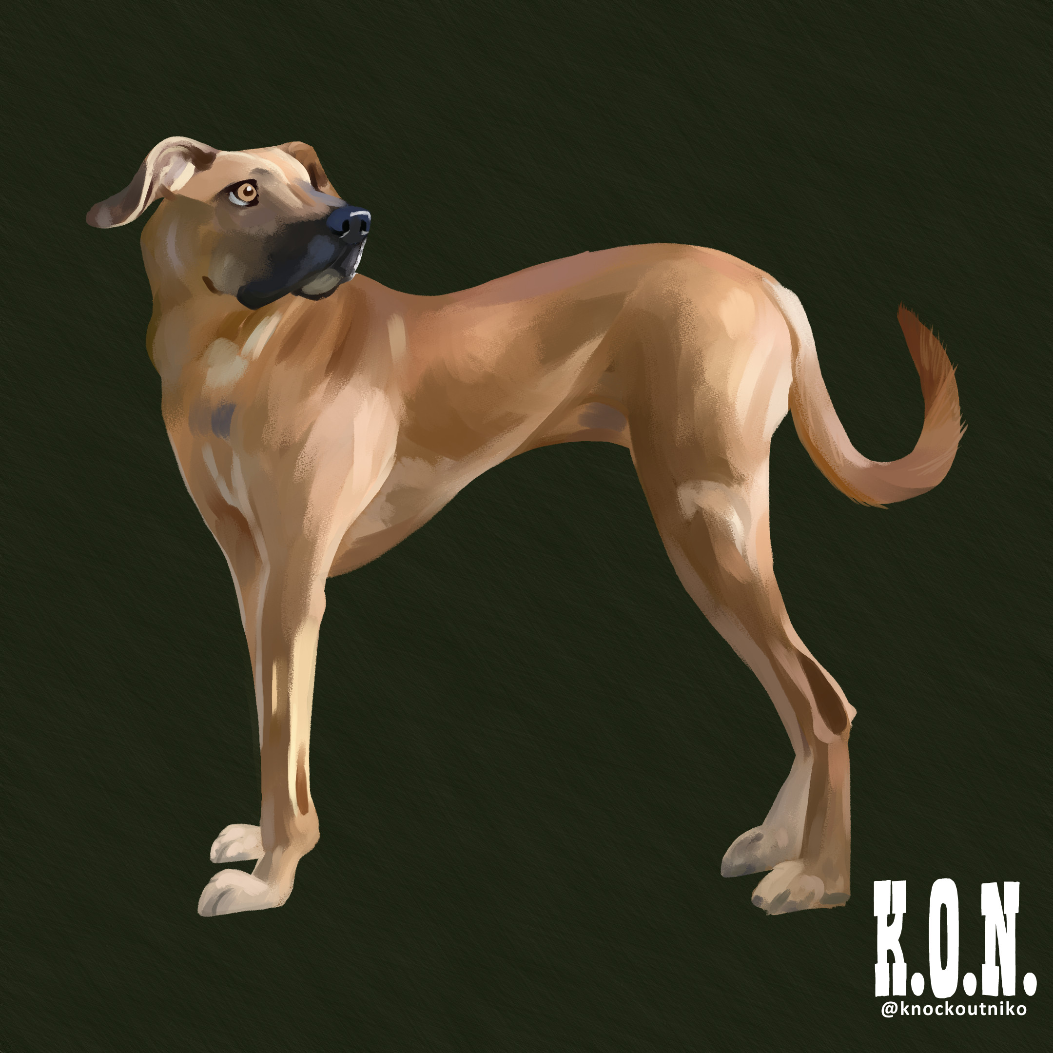 Black Mouth Cur