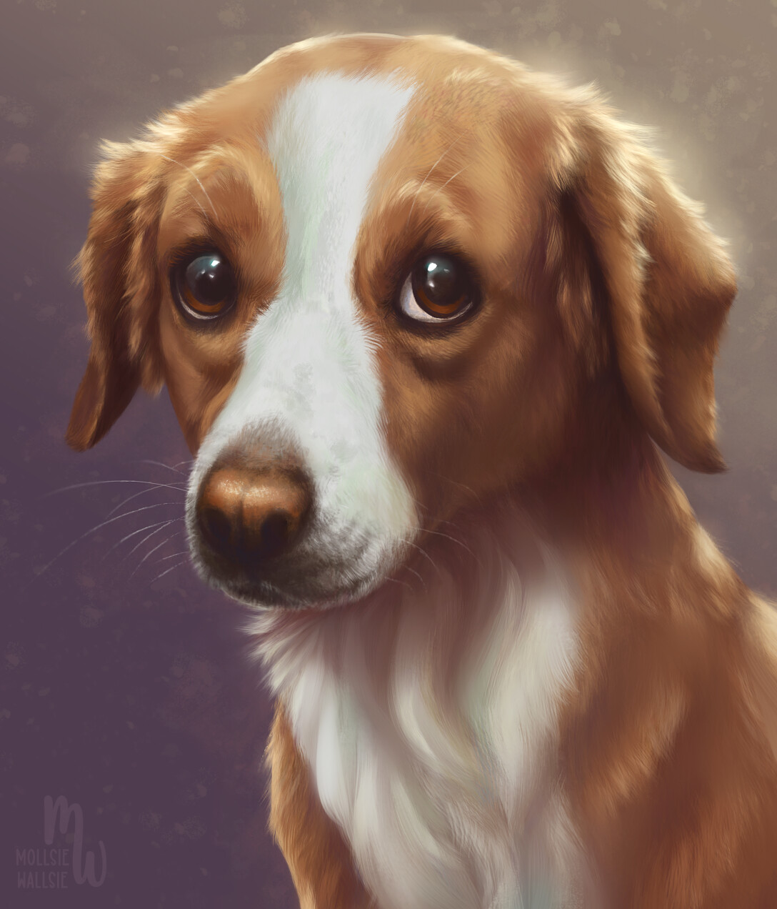 Sadie, my sweet doggo