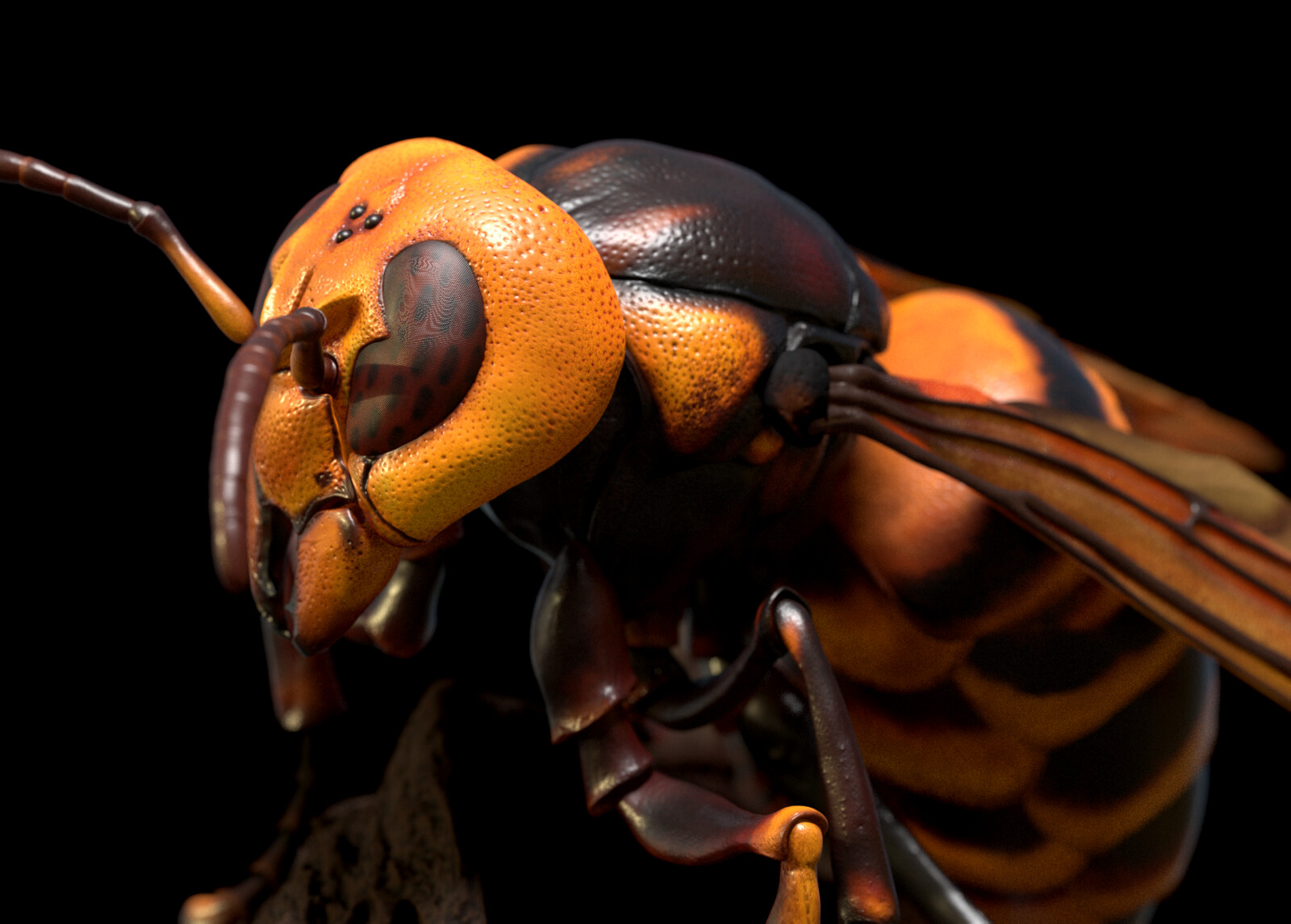 Japanese Hornet rendered in Redshift for ZBrush