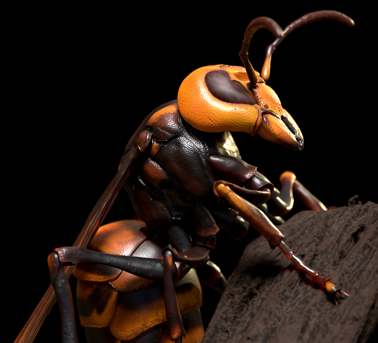 Japanese Hornet rendered in Redshift for ZBrush