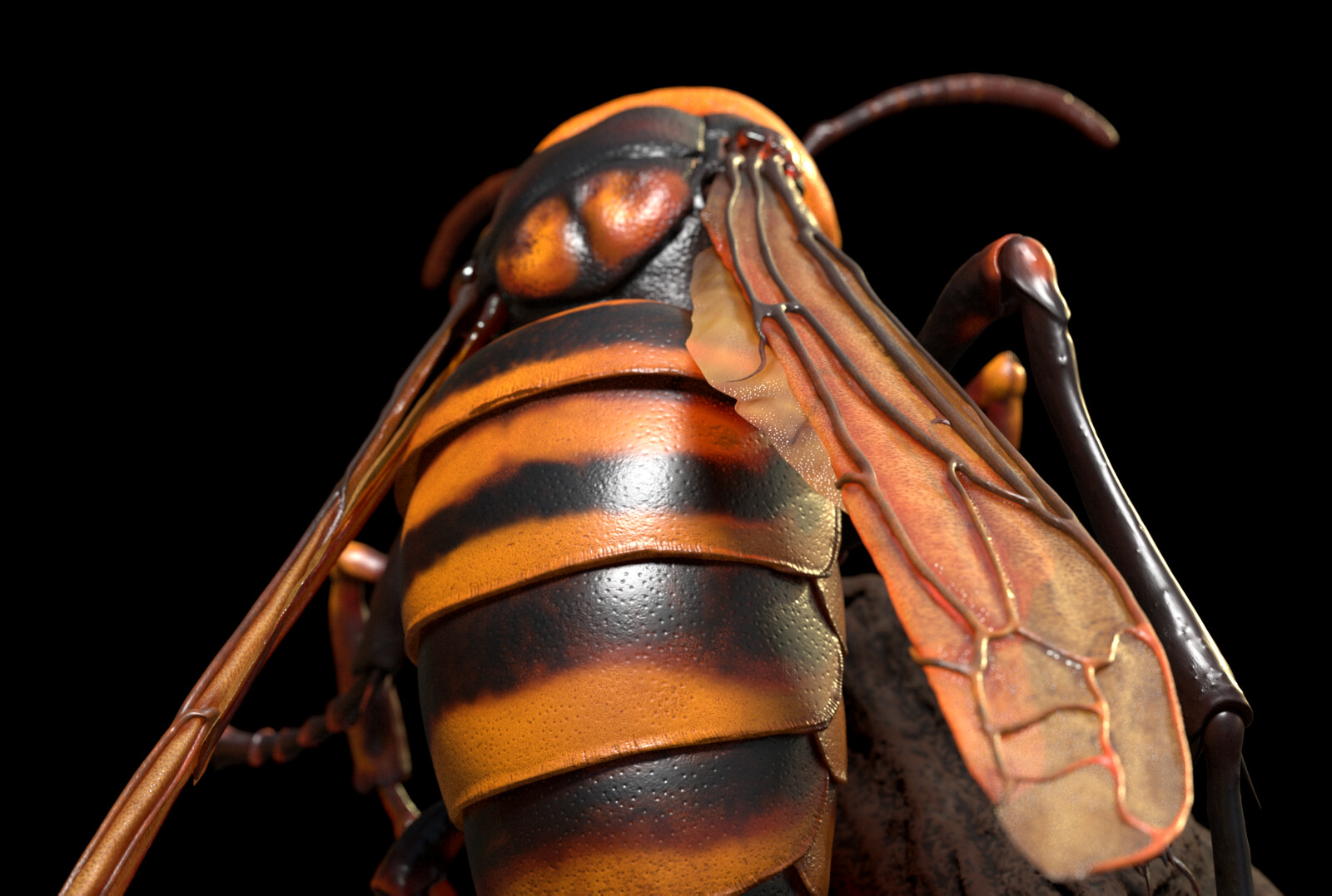 Japanese Hornet rendered in Redshift for ZBrush