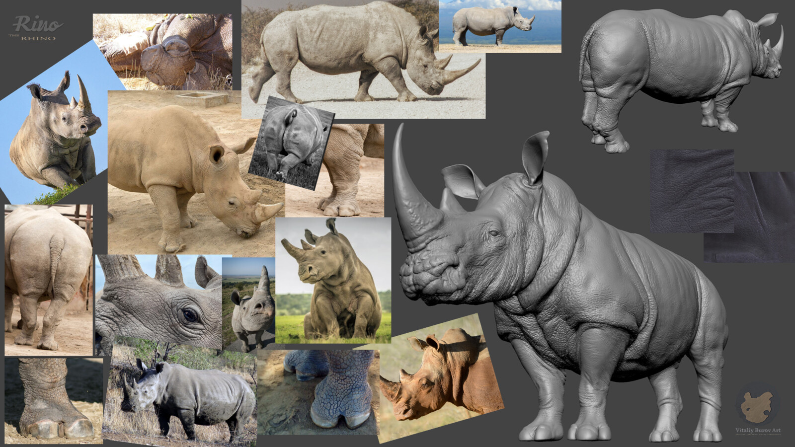Collection of inspirations and references that were used in making the rhino.