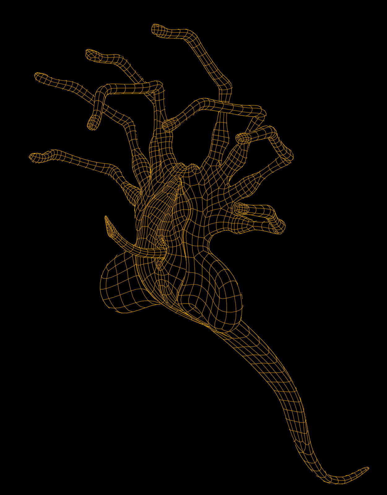 Topology
