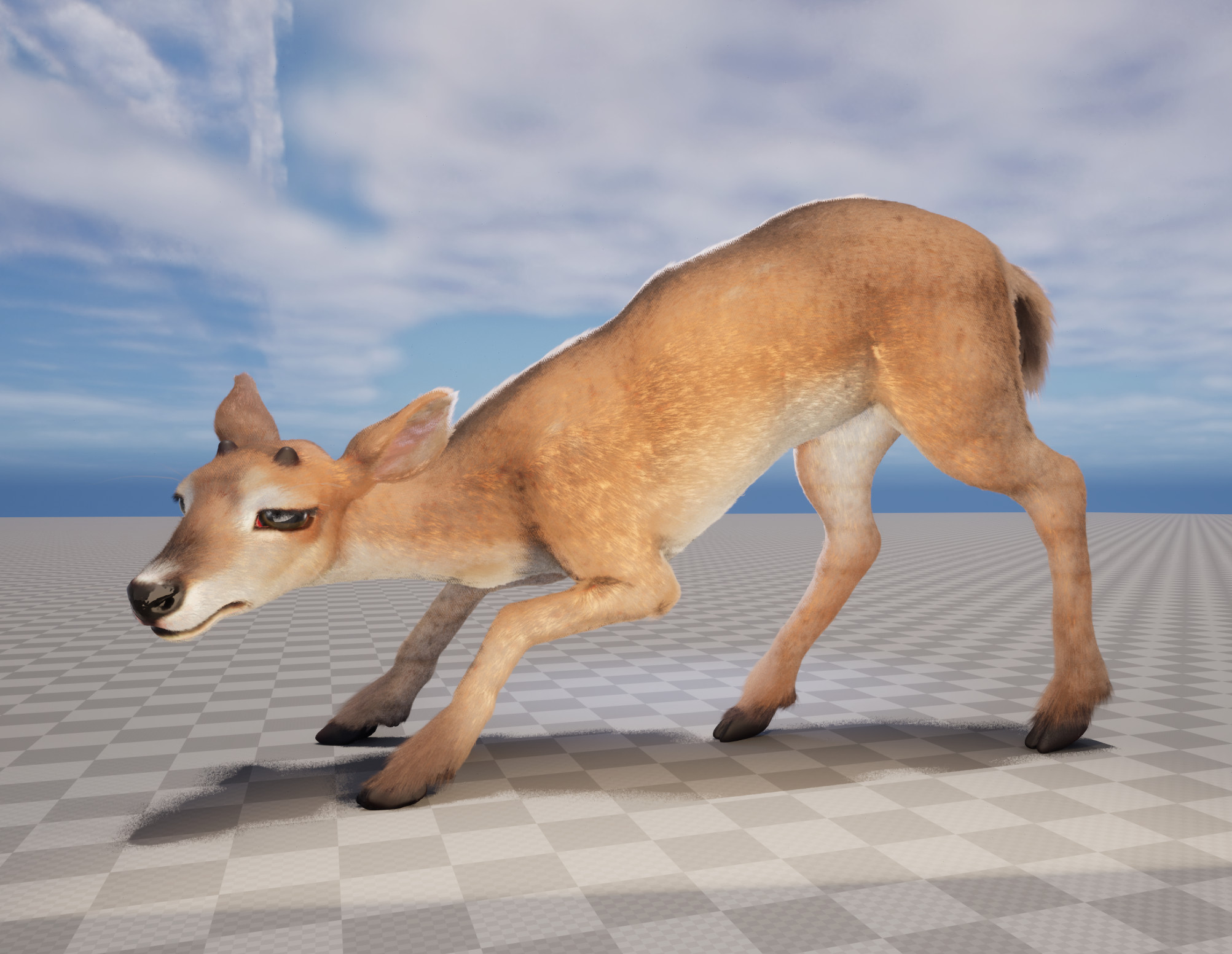 In development Groom Lookdev in Unreal Engine. 