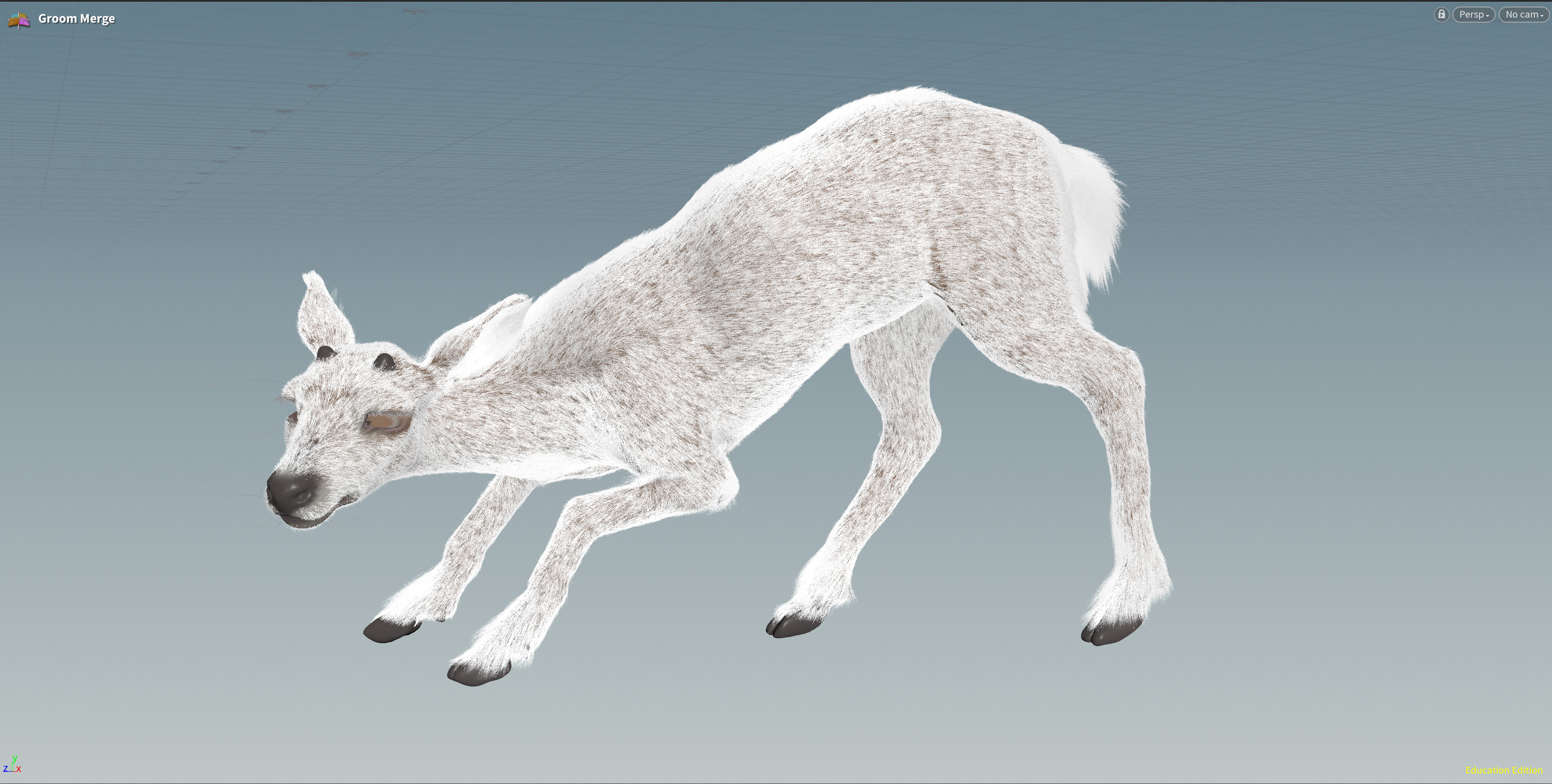 Base groom made in Houdini