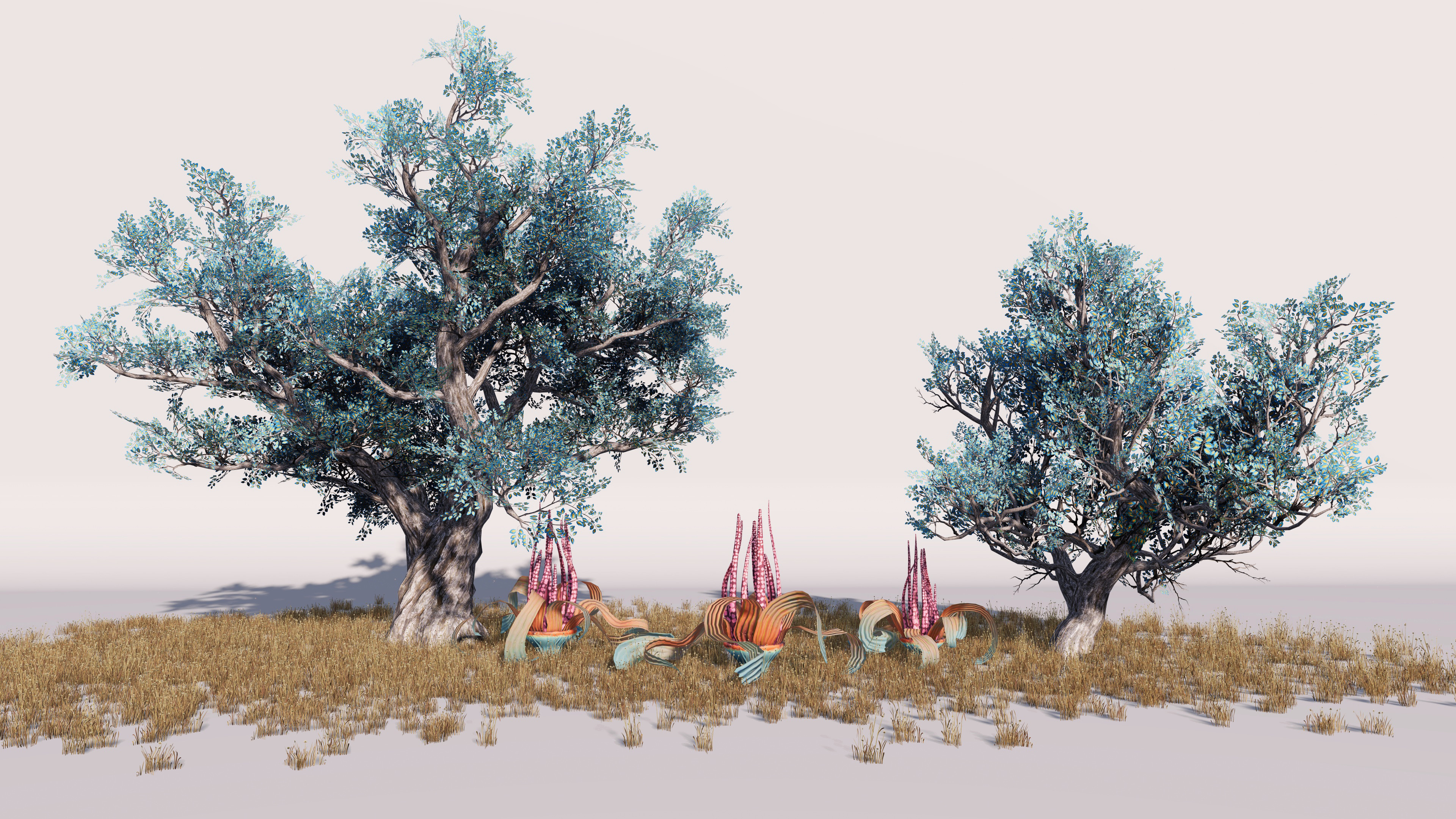 Bloak trees and Xenaloe