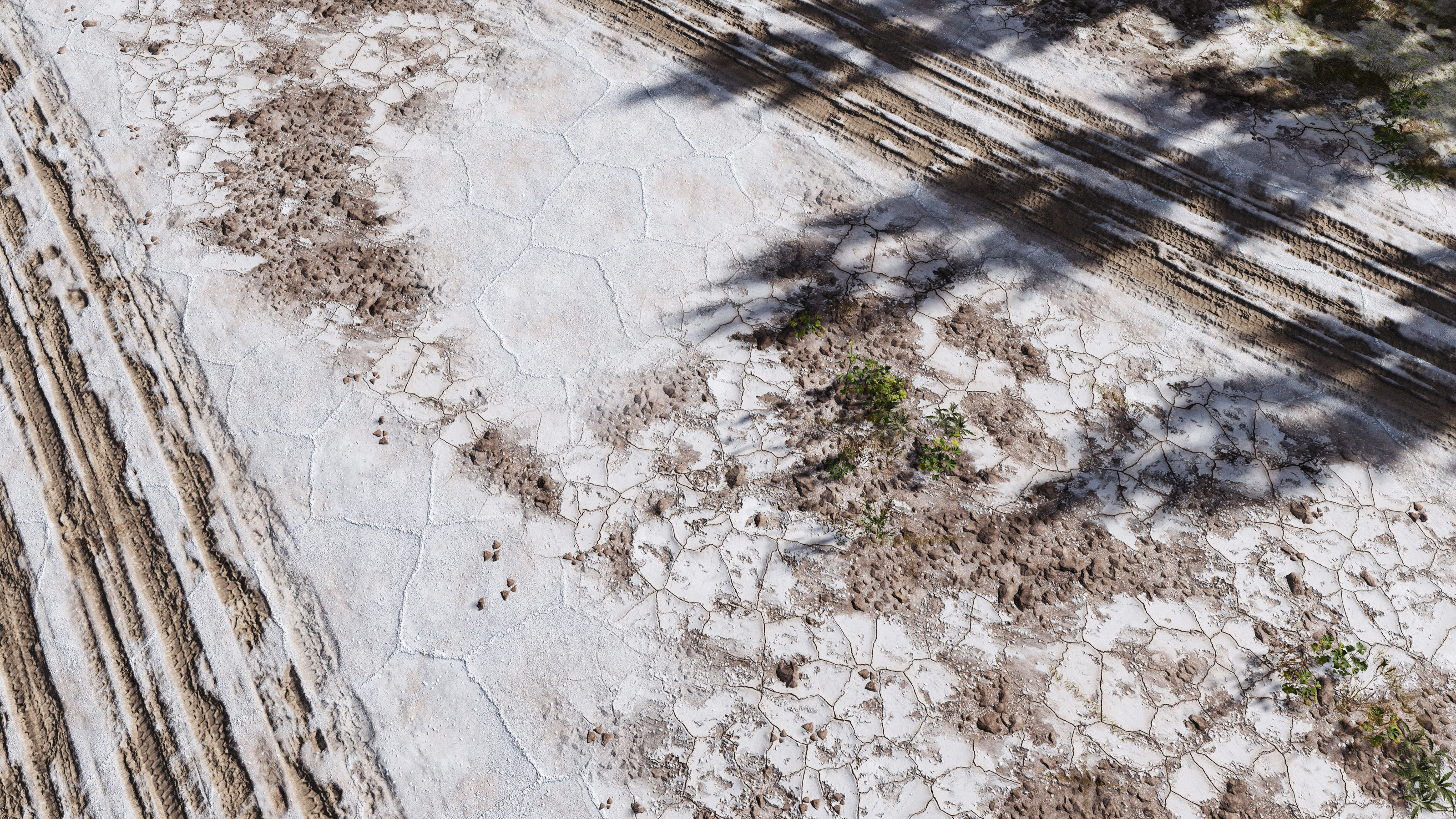 ALPHATERRA's redesigned materials: salty soils