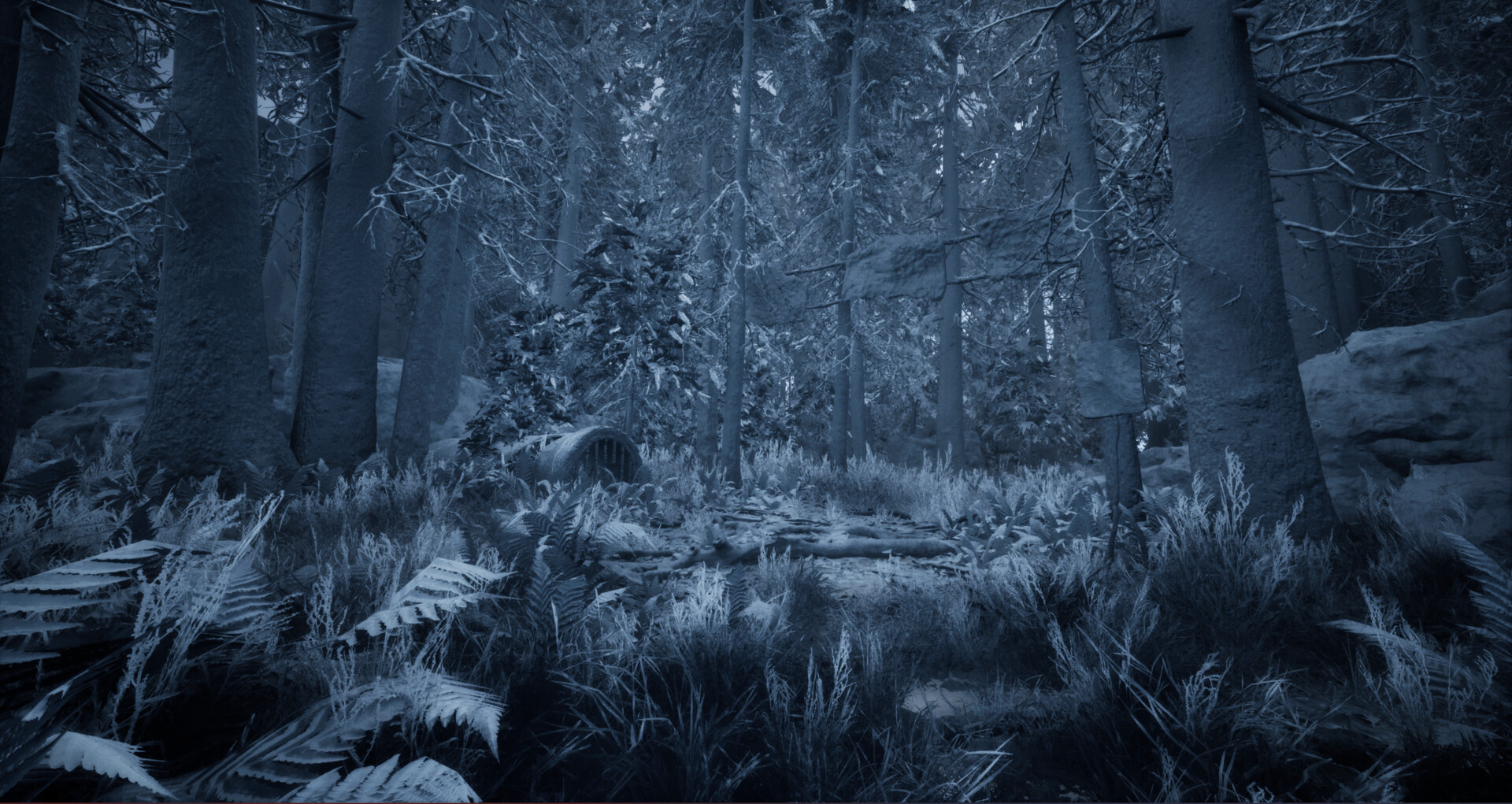 Lost in forest