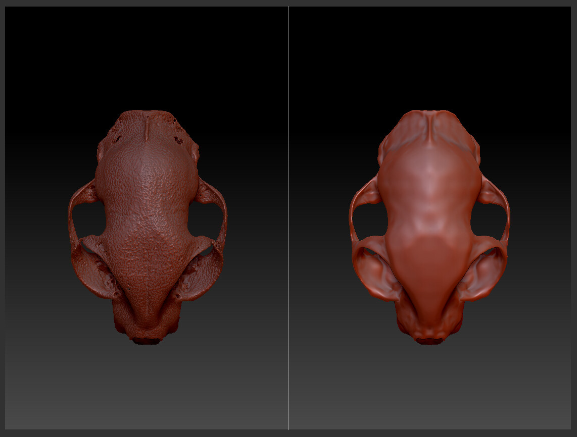 This is the same skull as above but these screenshots were taken before some minor alterations were made to the current version.