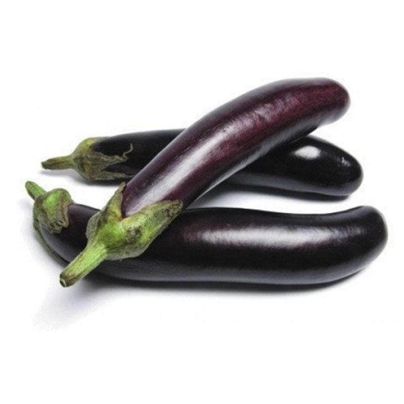 The eggplant