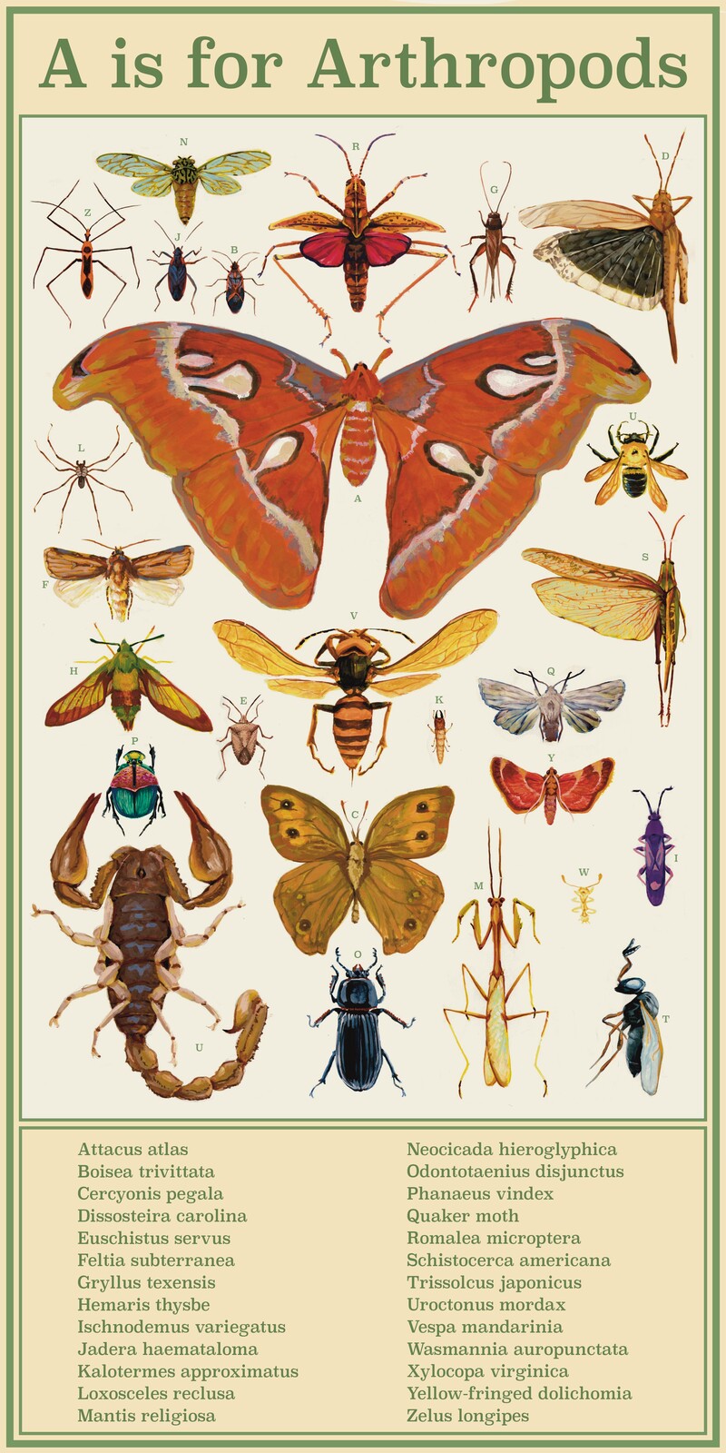 A is for Arthropods