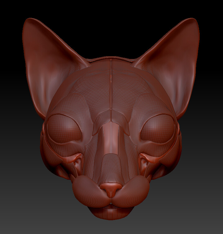 Everything so far. I think that the eyes might be too far apart but I won't get deeper into that until I have made the superficial (surface) muscles.