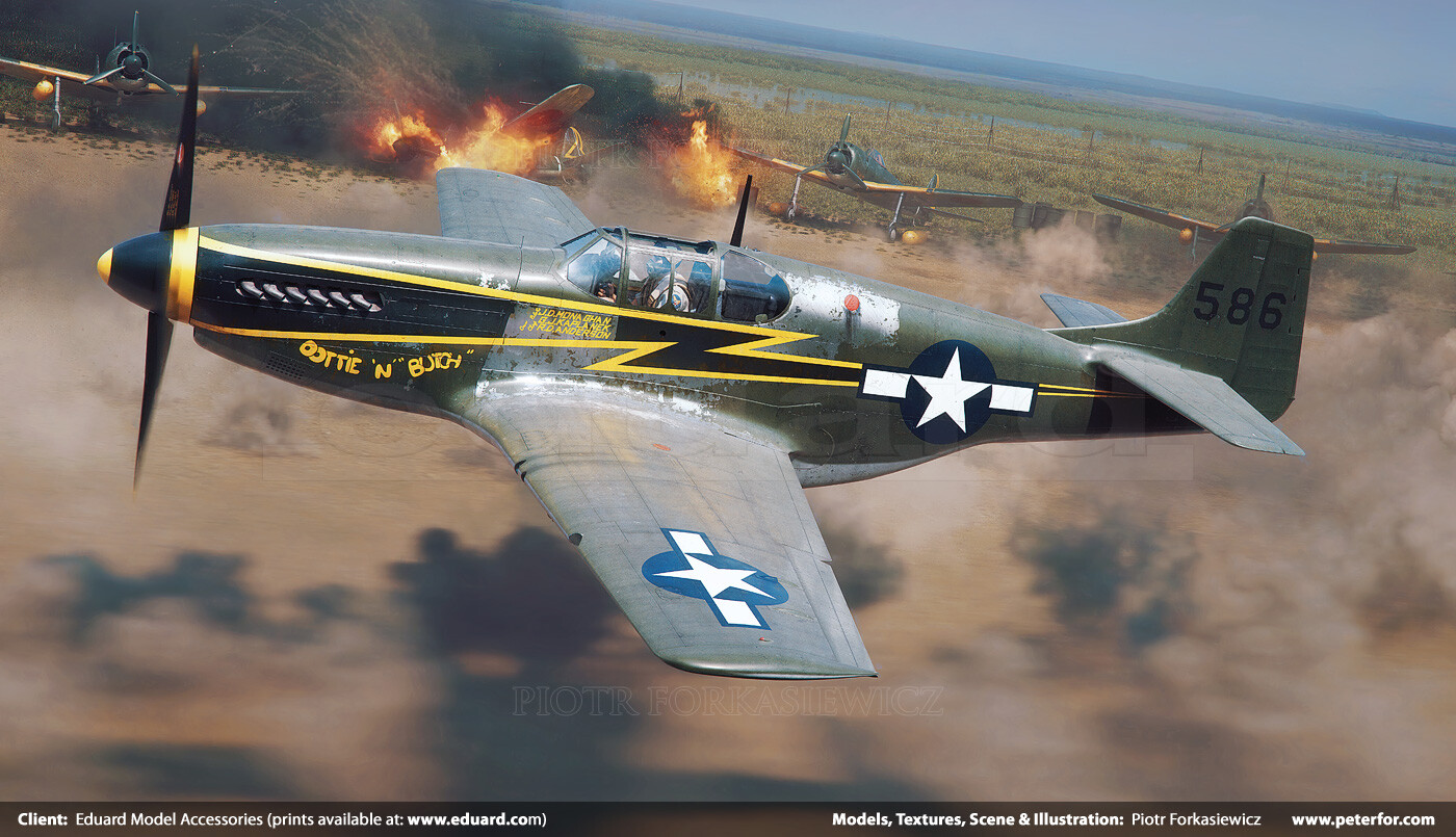 piotr-forkasiewicz-eduard-mustang-straff