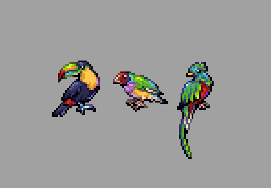 Tropical birds (2023)