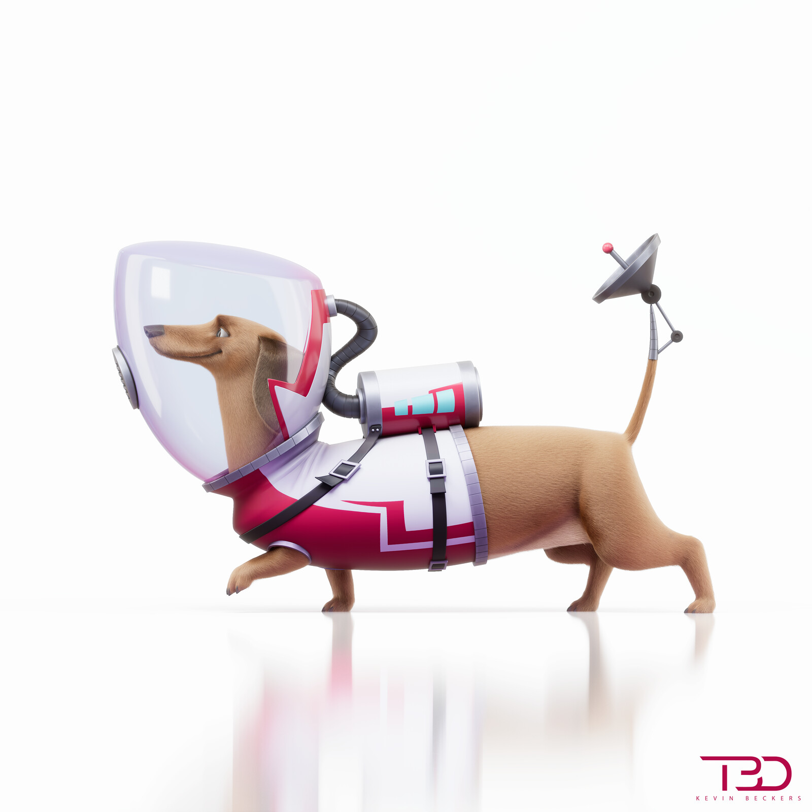 Eran's Astro dachshund