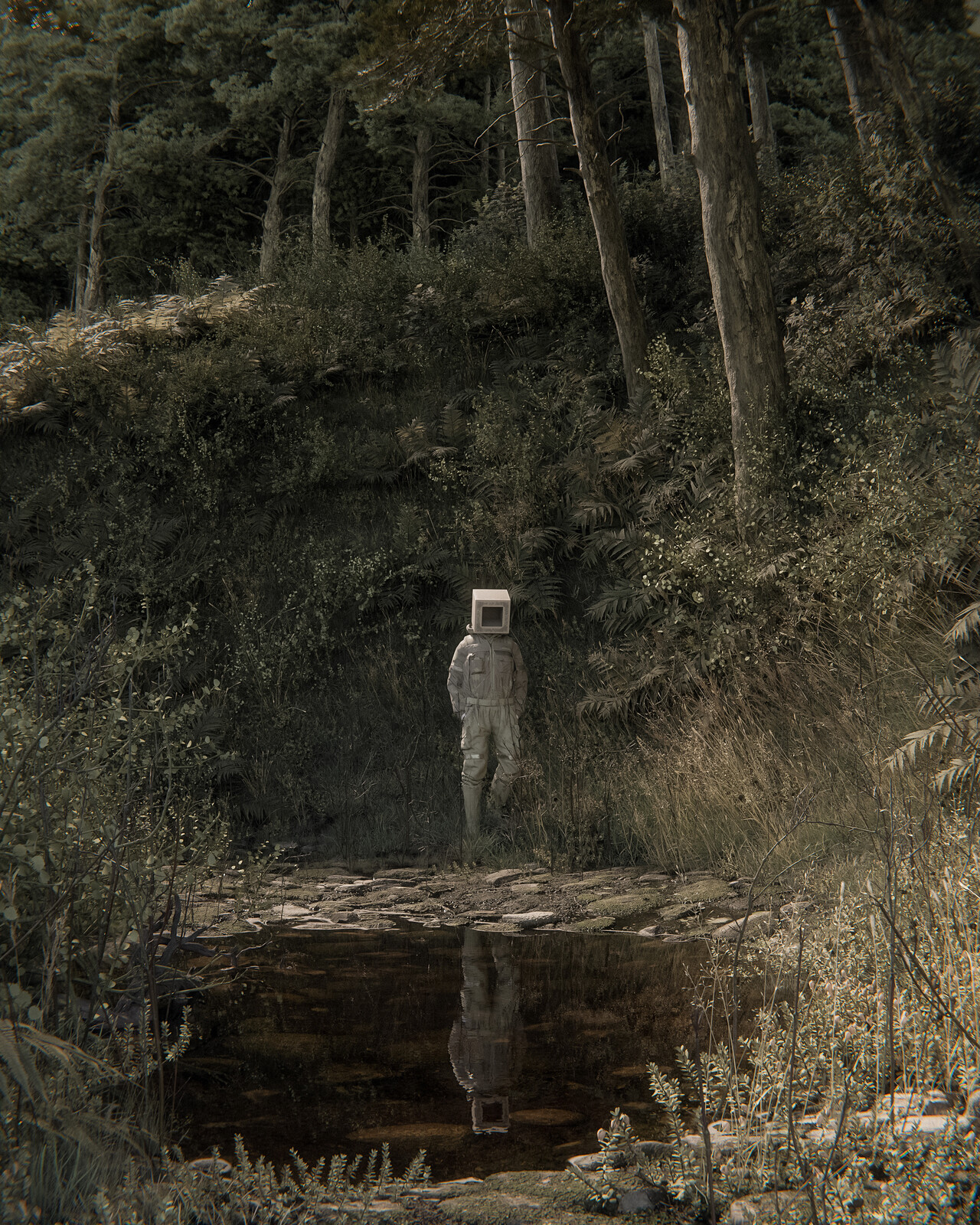 hidden pond