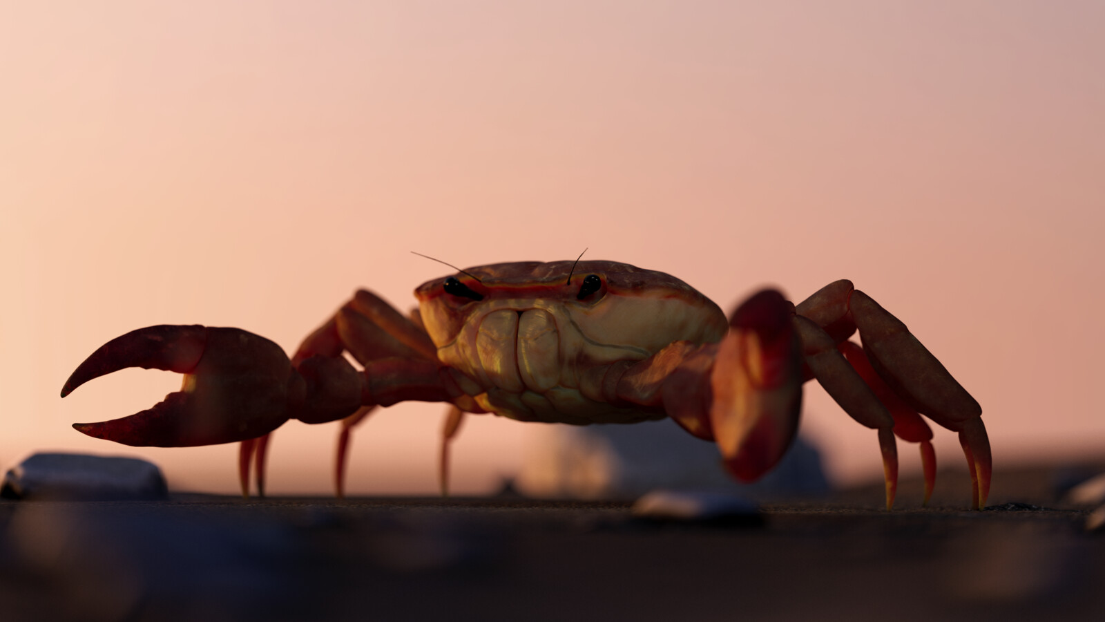 Render 003