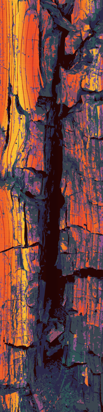 2024 - Missoula Up Close - Digital Illustration Studio: Project 1