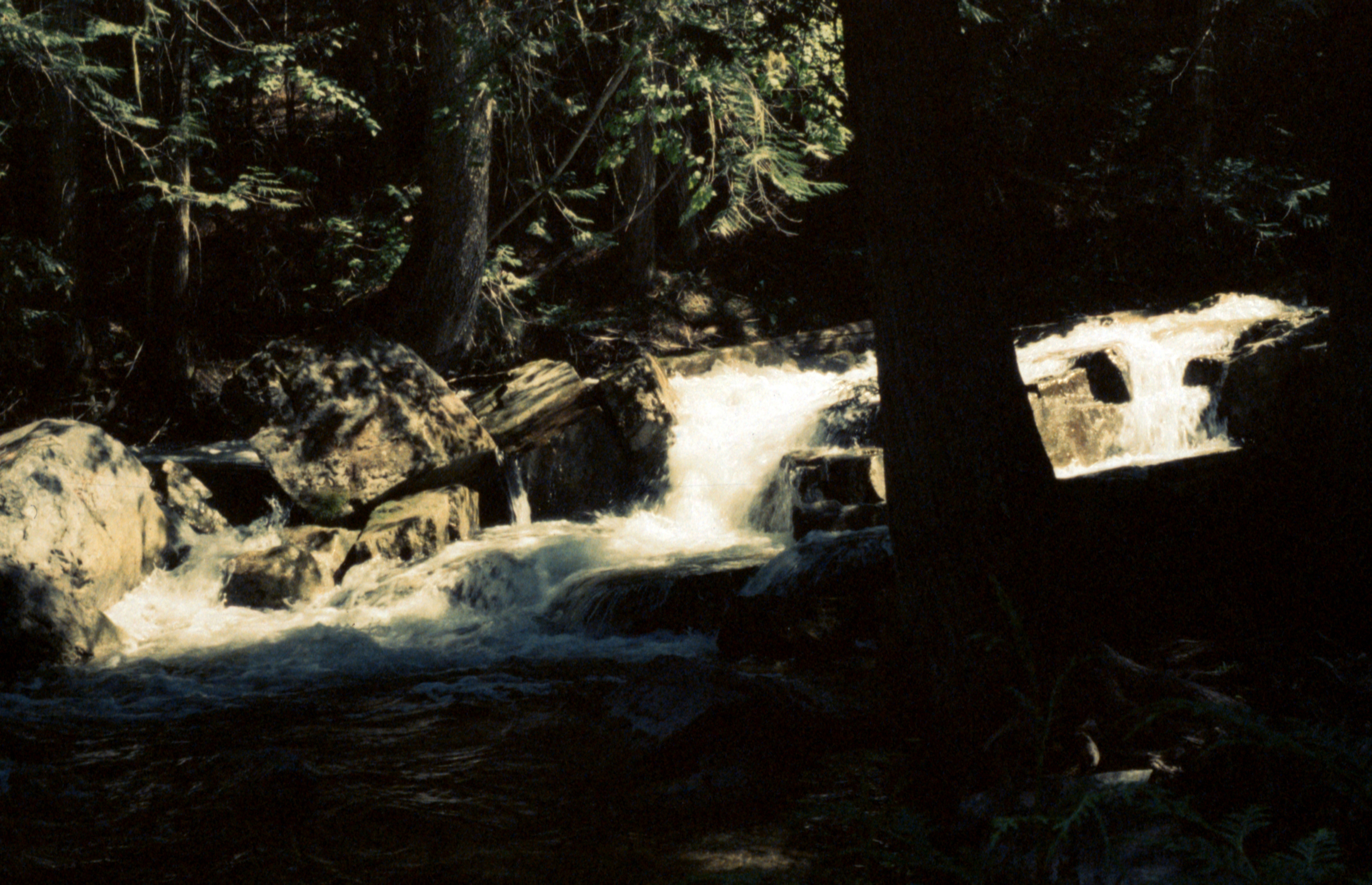 2021 - 35mm - Slide Film