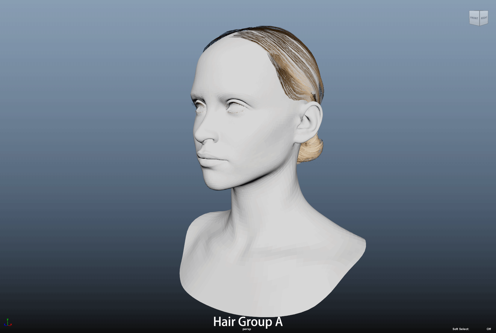 The breakdown of layered hair groups in the front.