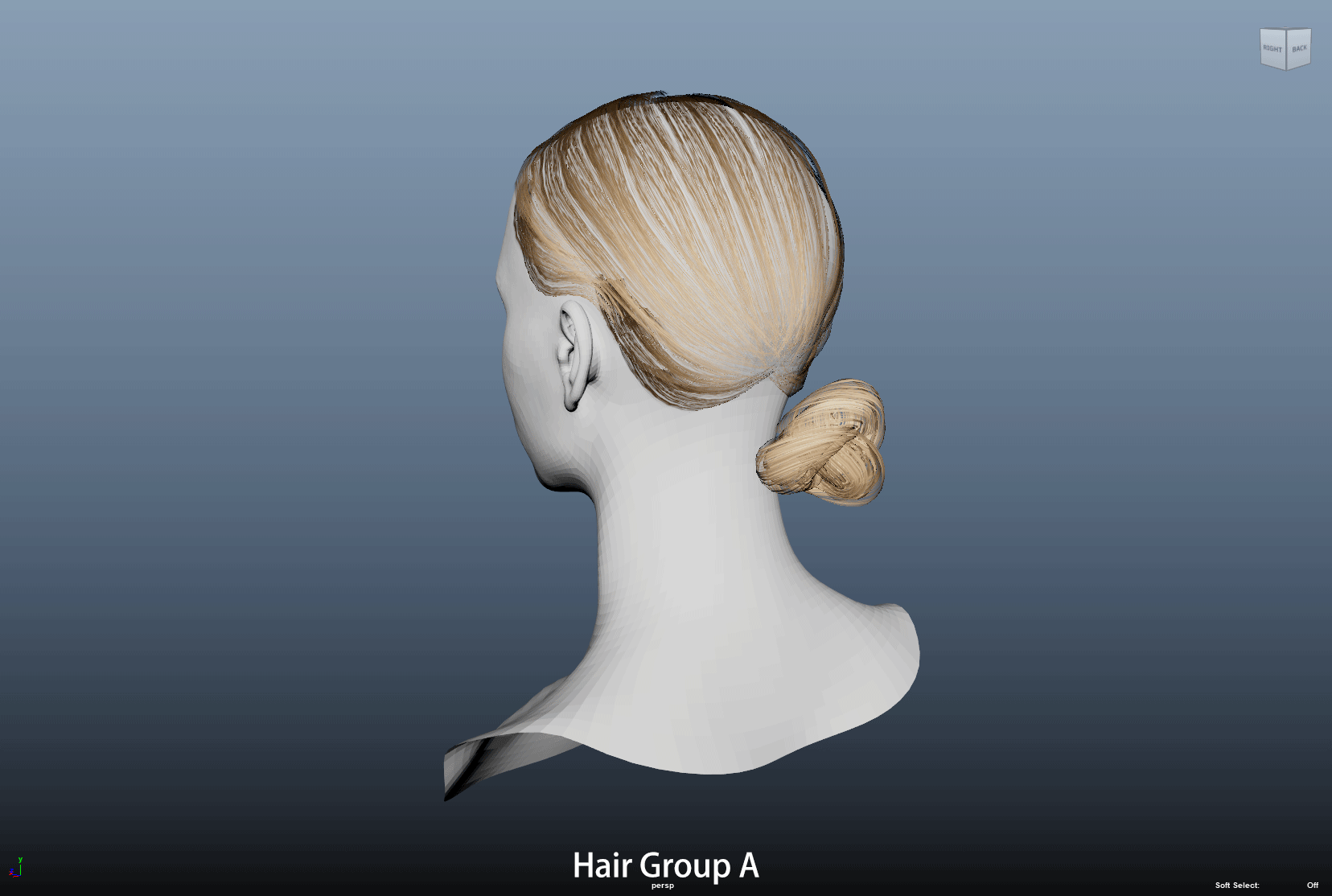 The breakdown of layered hair groups in the Back.
