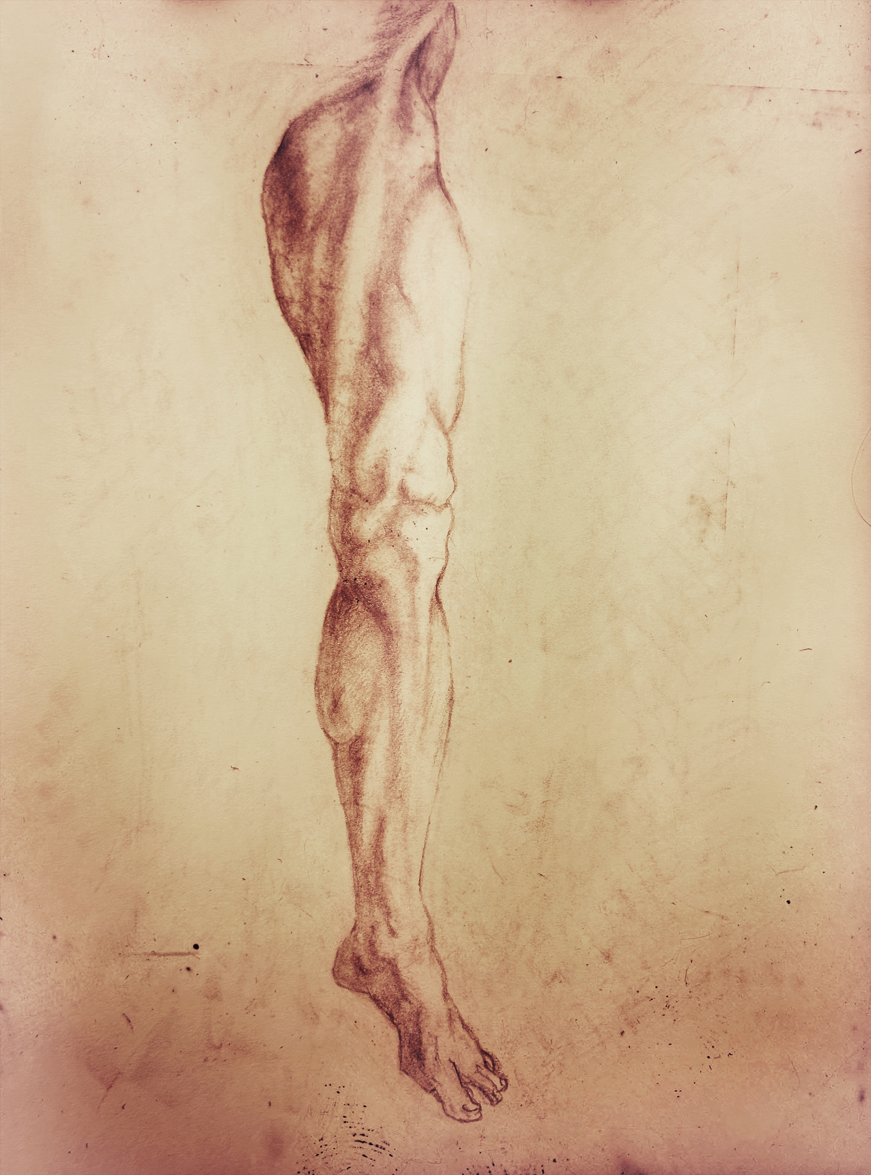 Anatomy study sketch 