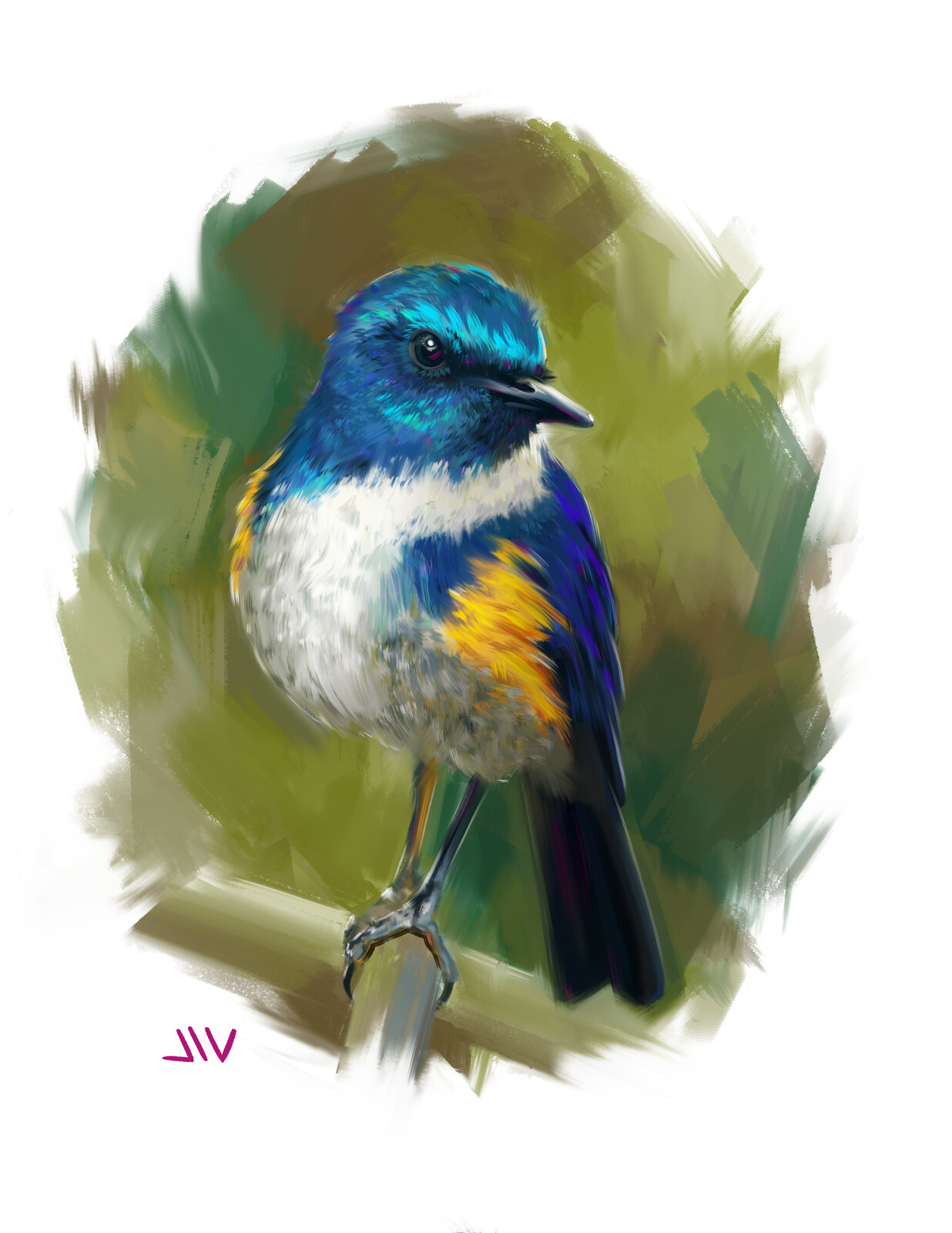 Bird Study