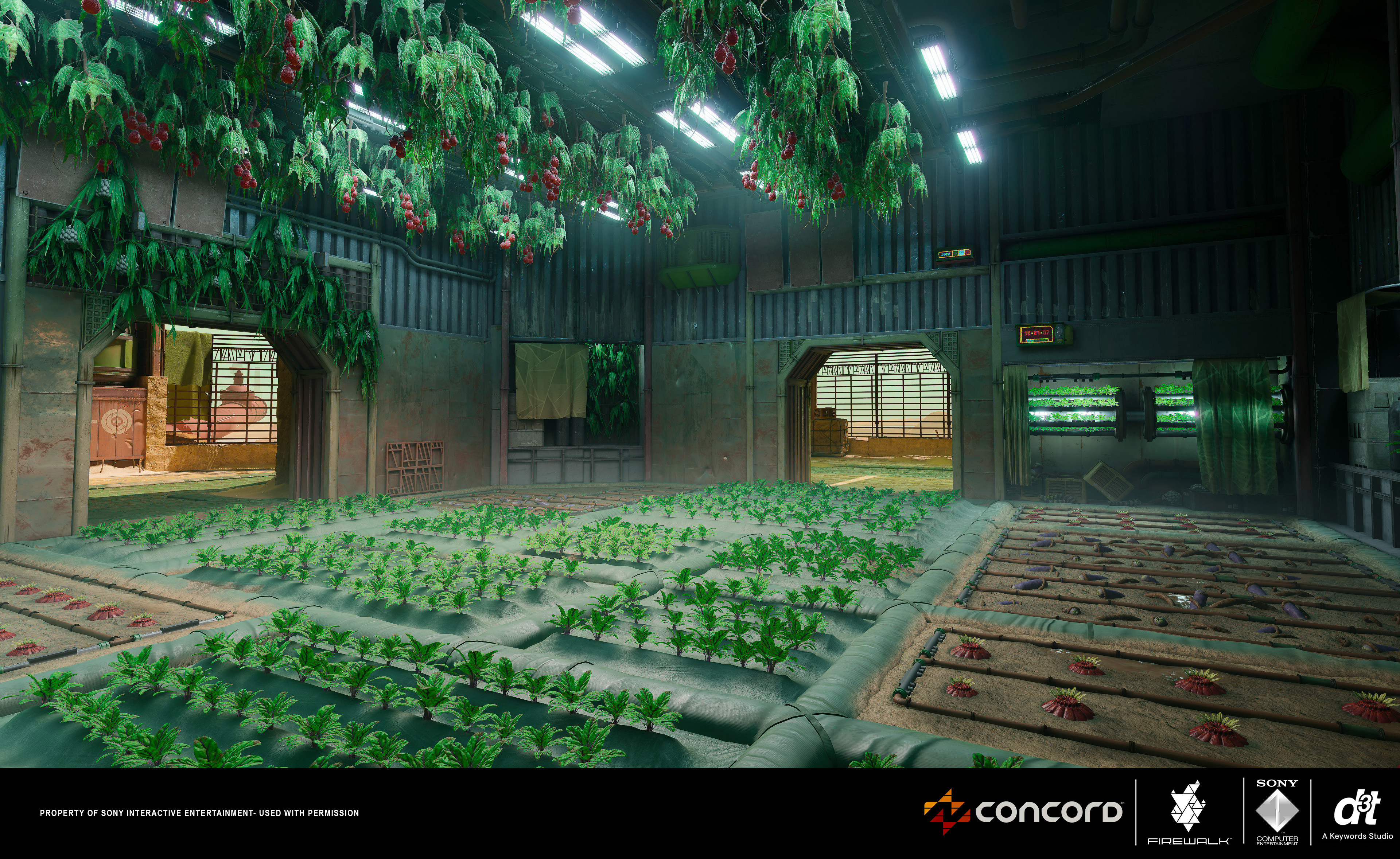 Freewater - Grow Room