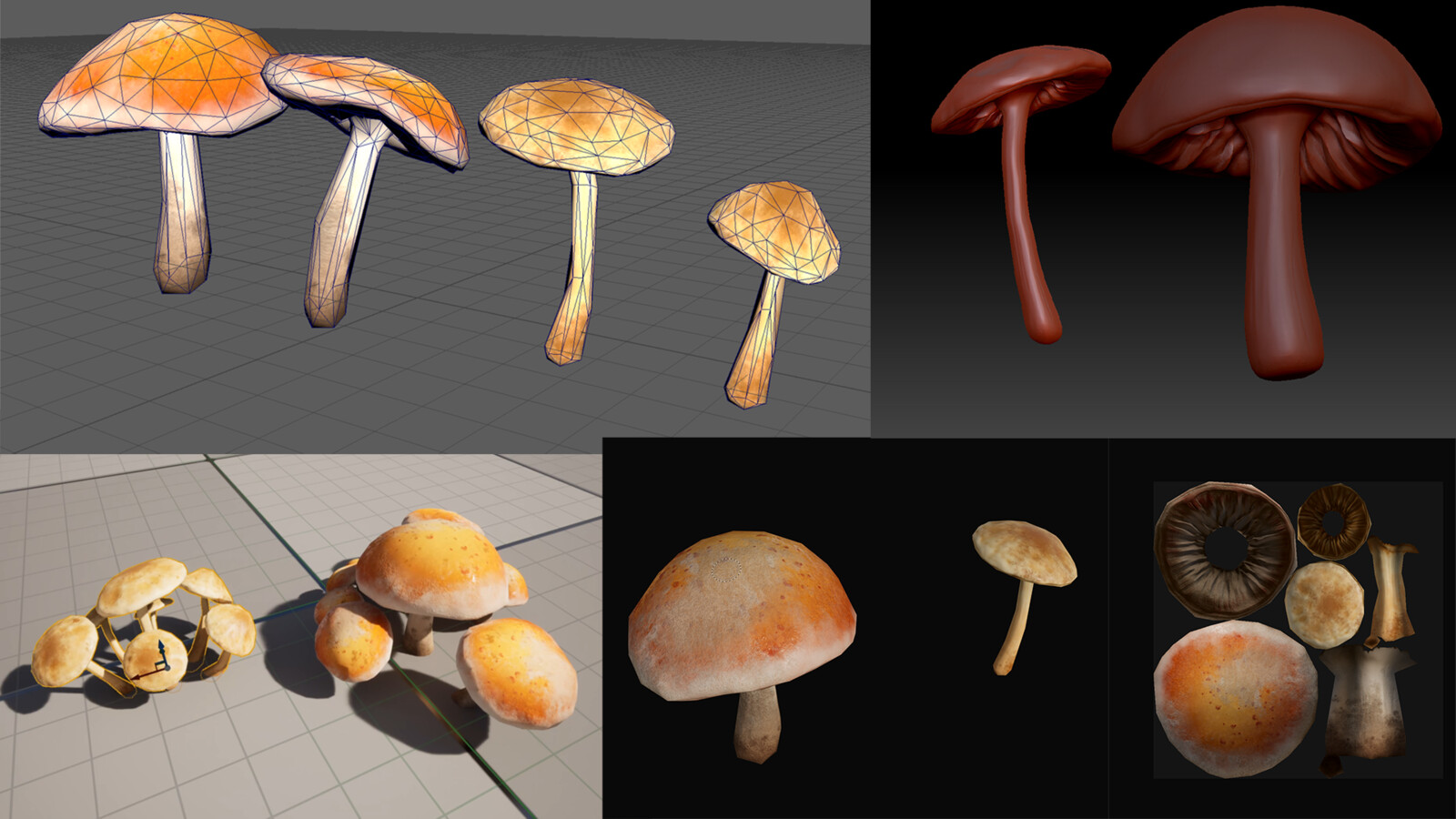 Shrooms