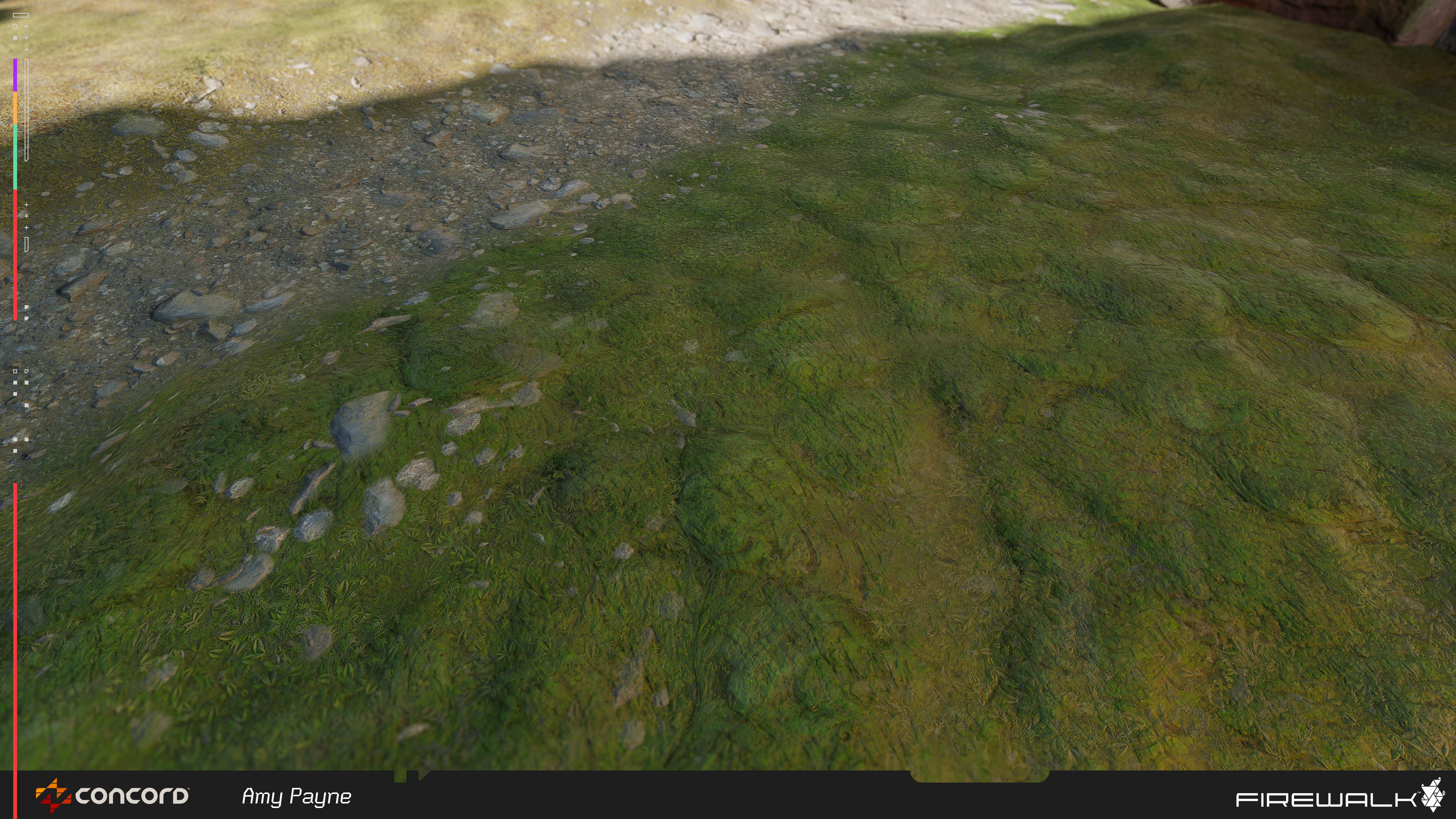 Mix of fungal terrain, moss, and gravel.