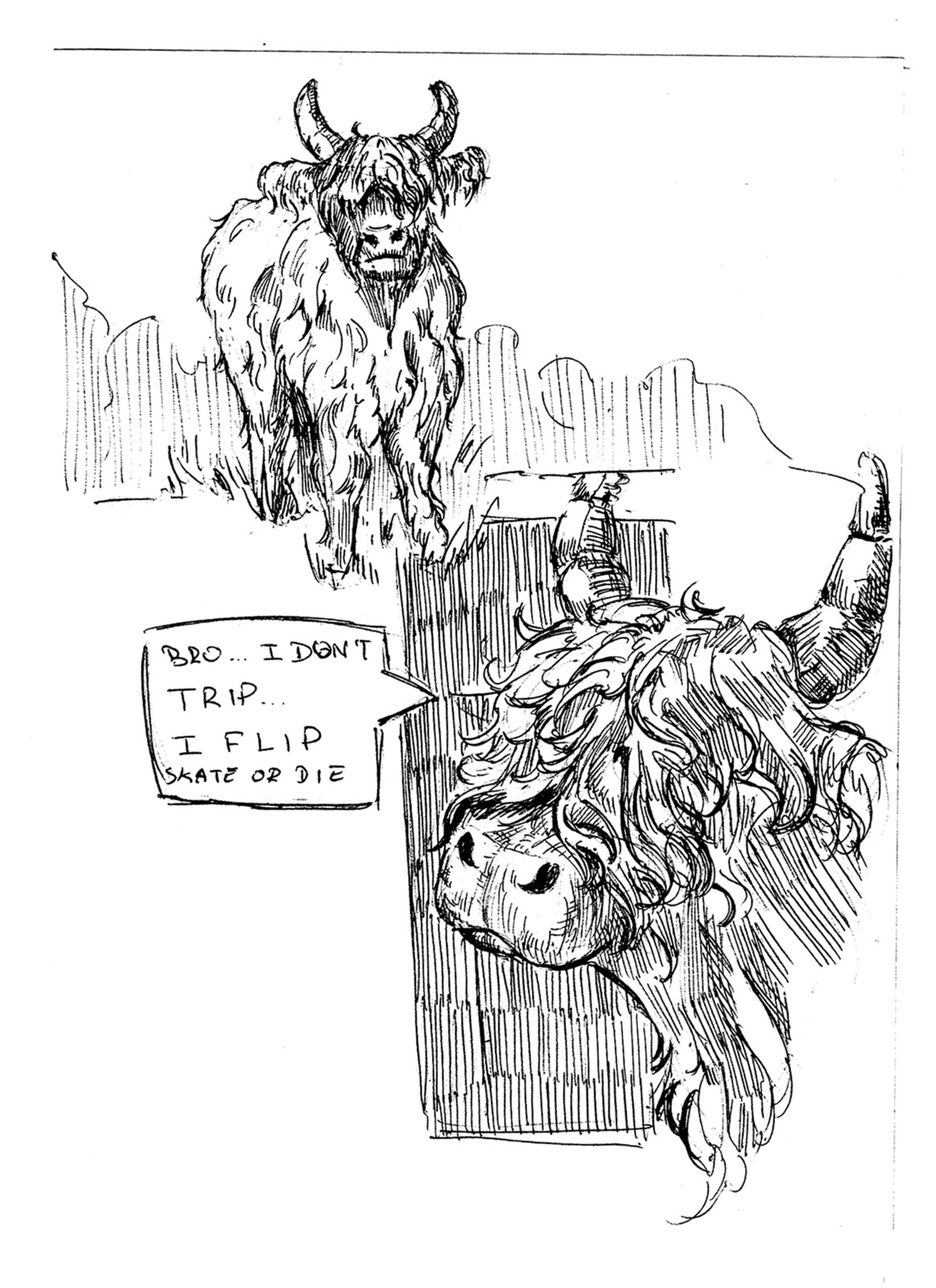 From my Sketchbook