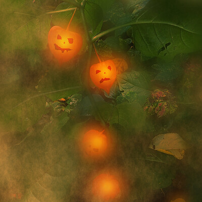 Jack-o'-Chinese-lantern