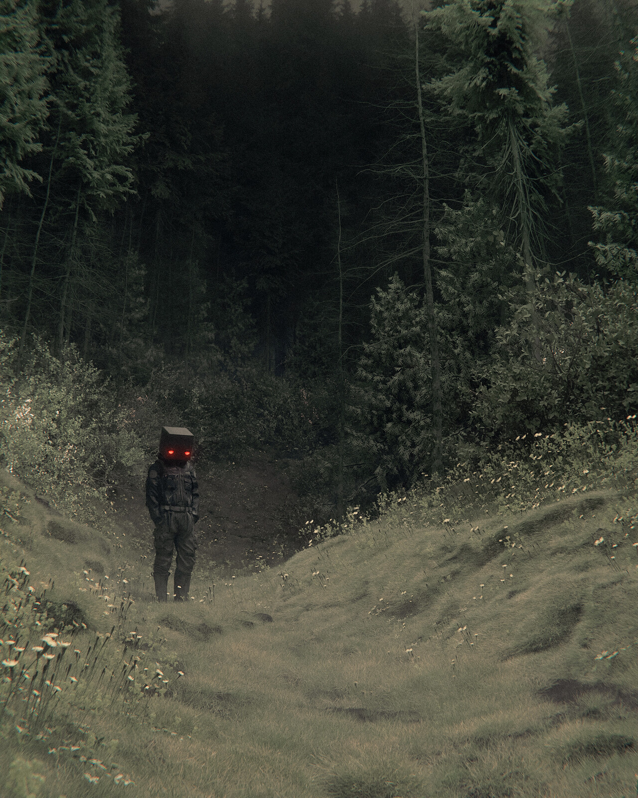 path of the lost wilds