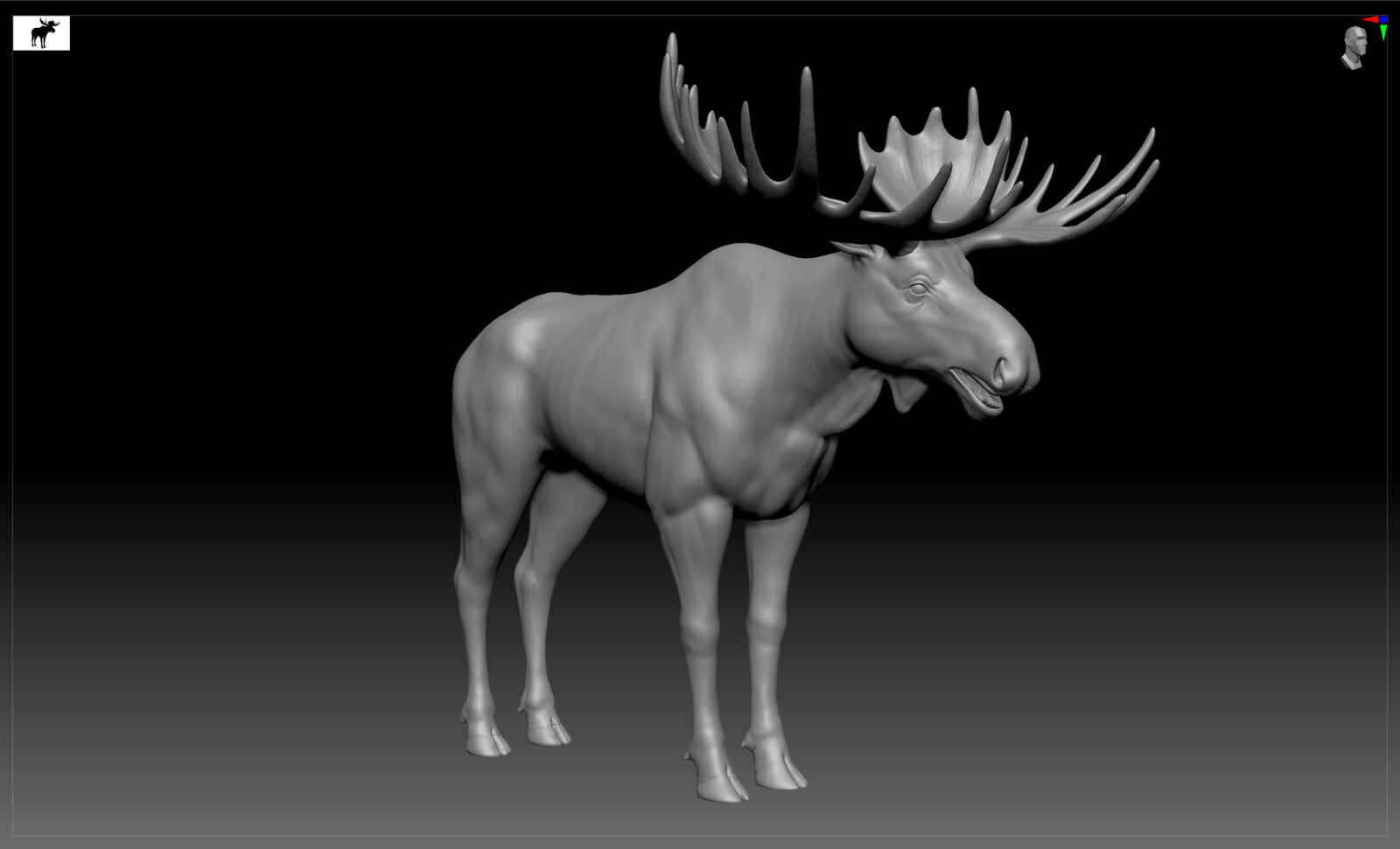 Sculpt in Zbrush