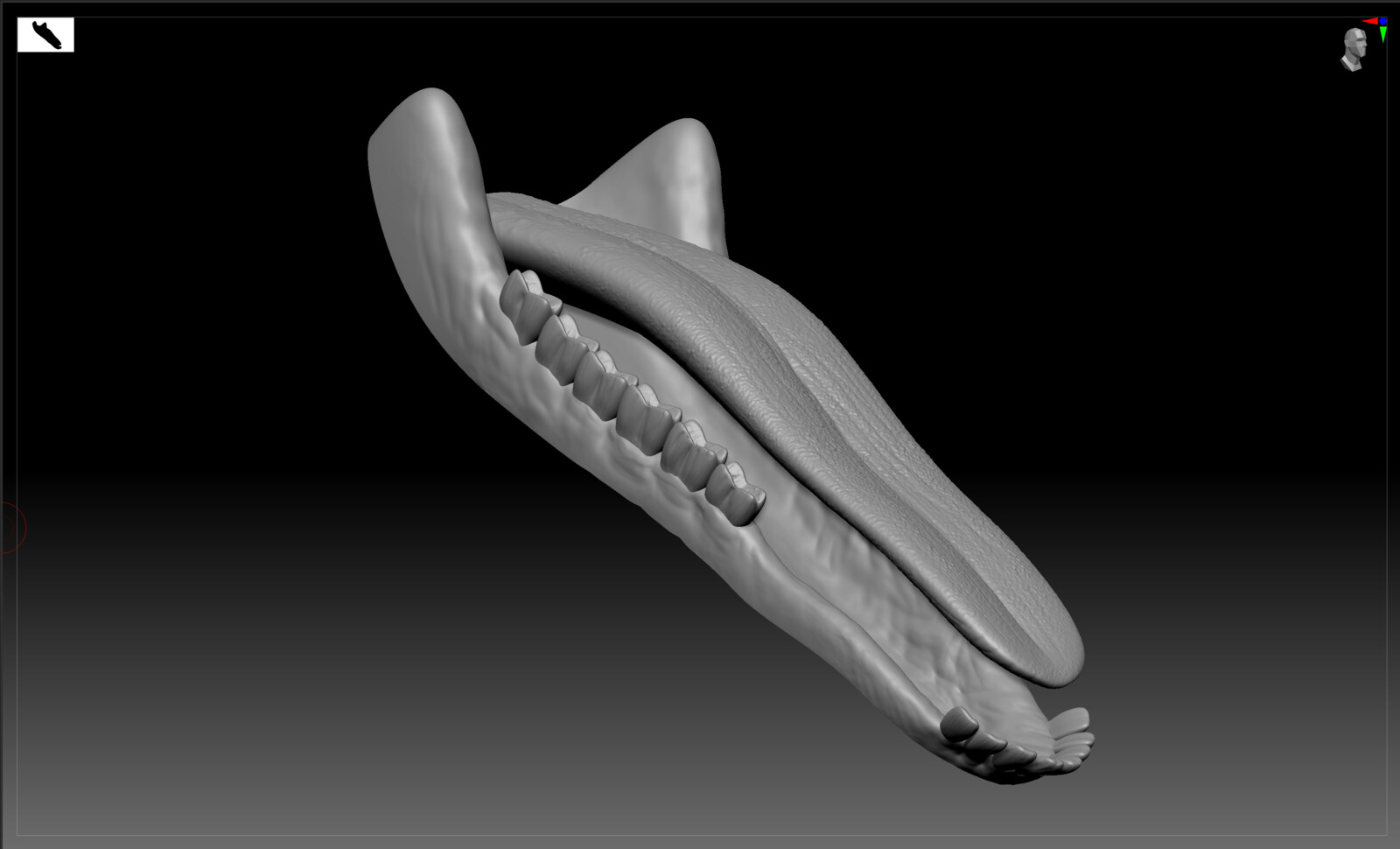 Sculpt in Zbrush