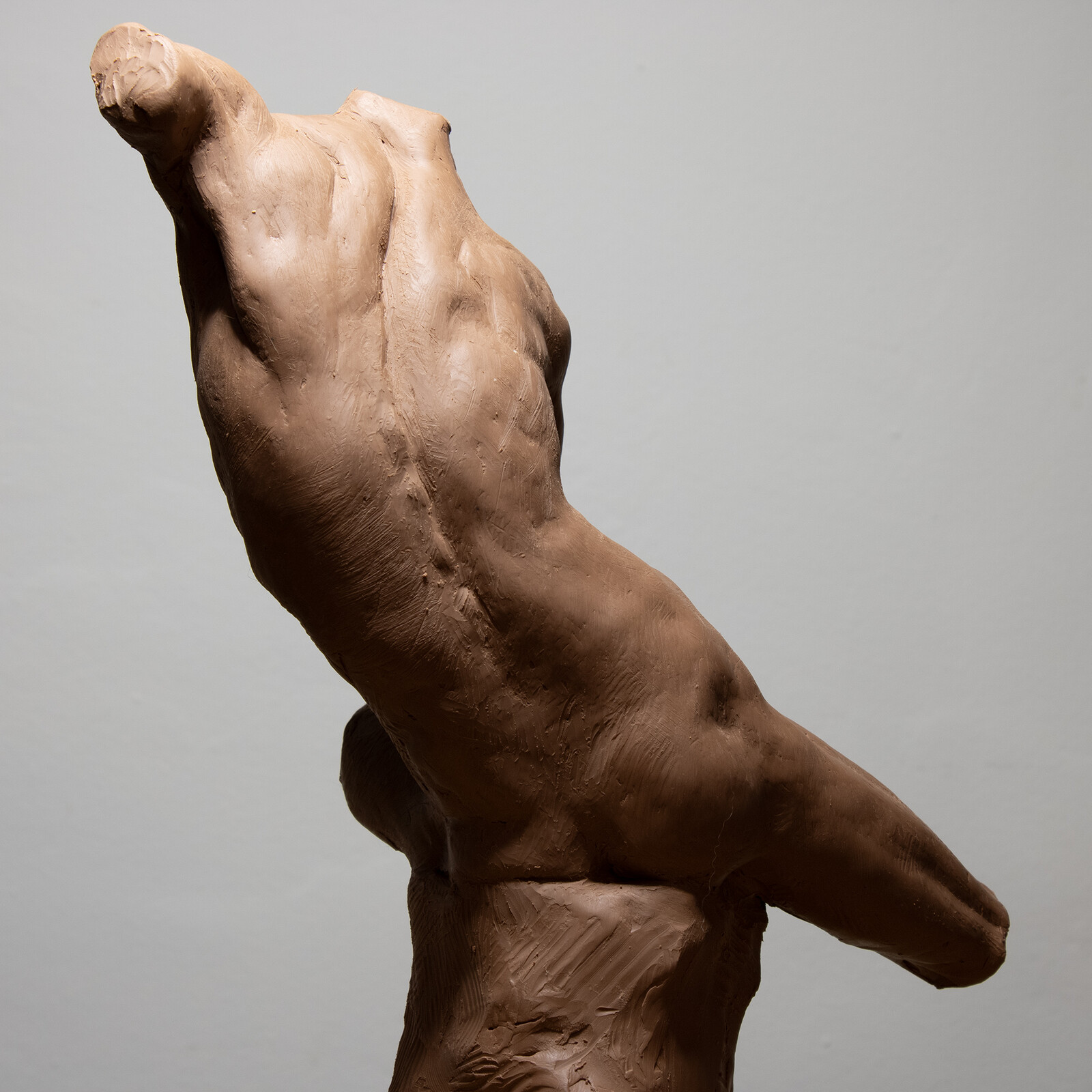 Torso study