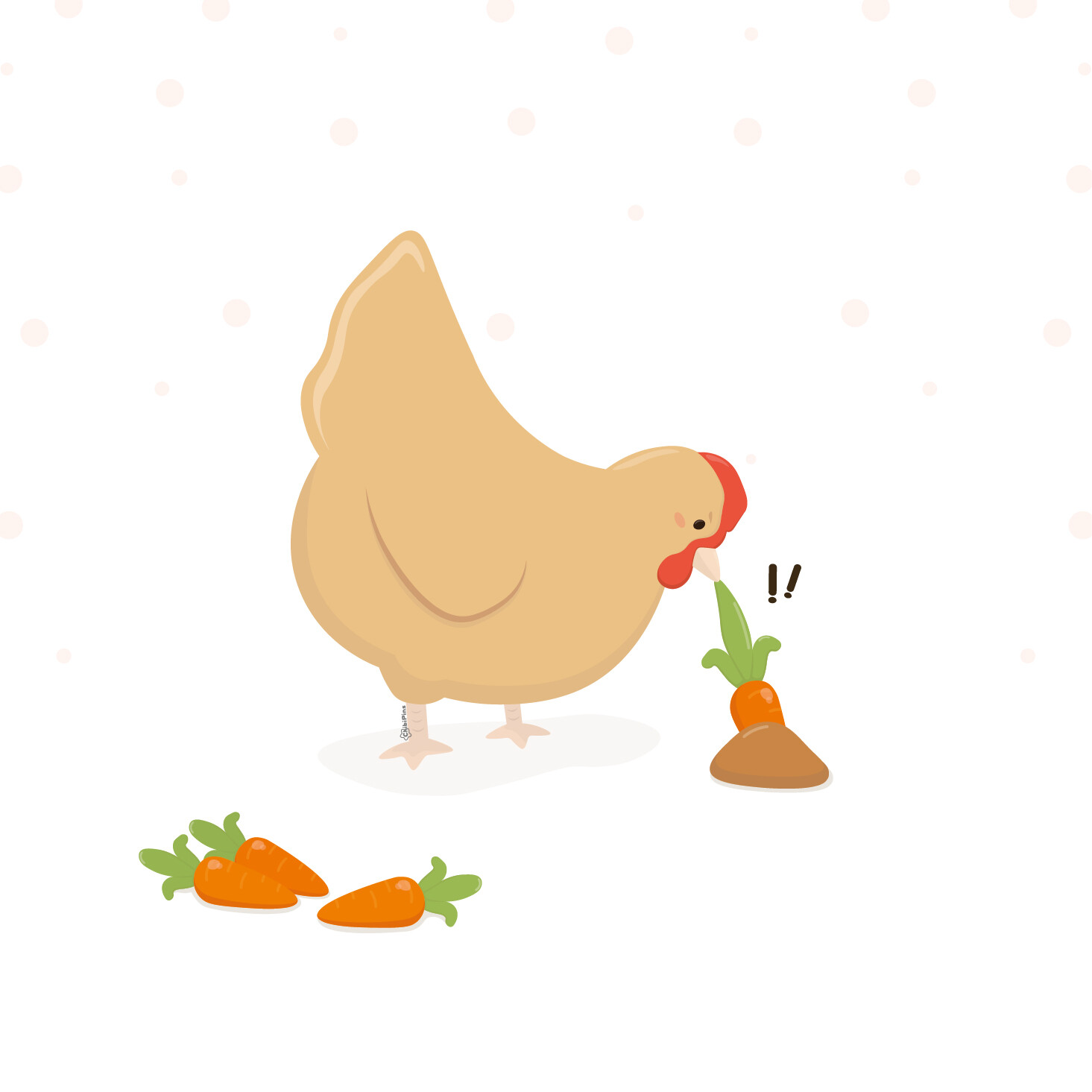 Carrot Pull 1