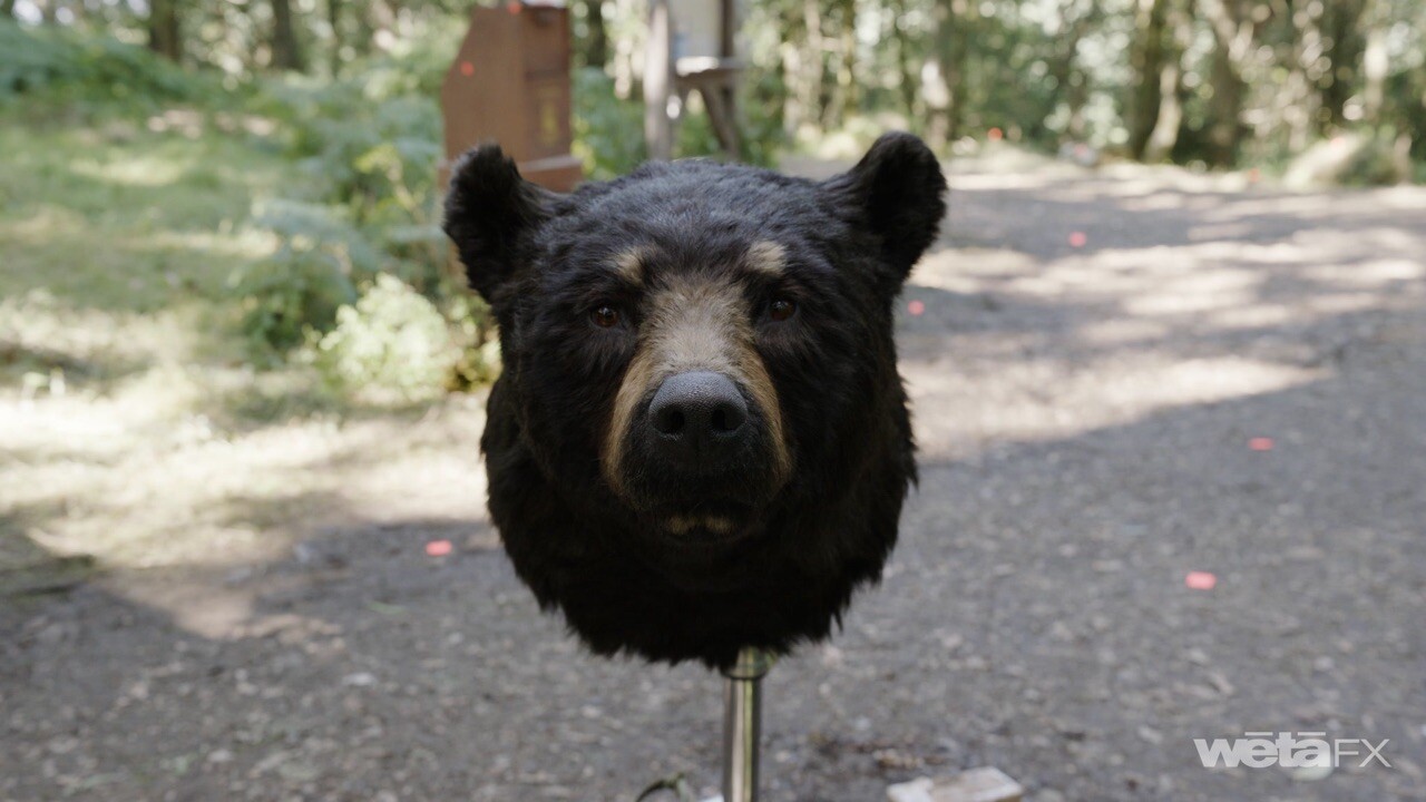 The bear bust was referenced by Wētā FX to create the terrifying and personality-filled bear you see in the final film.