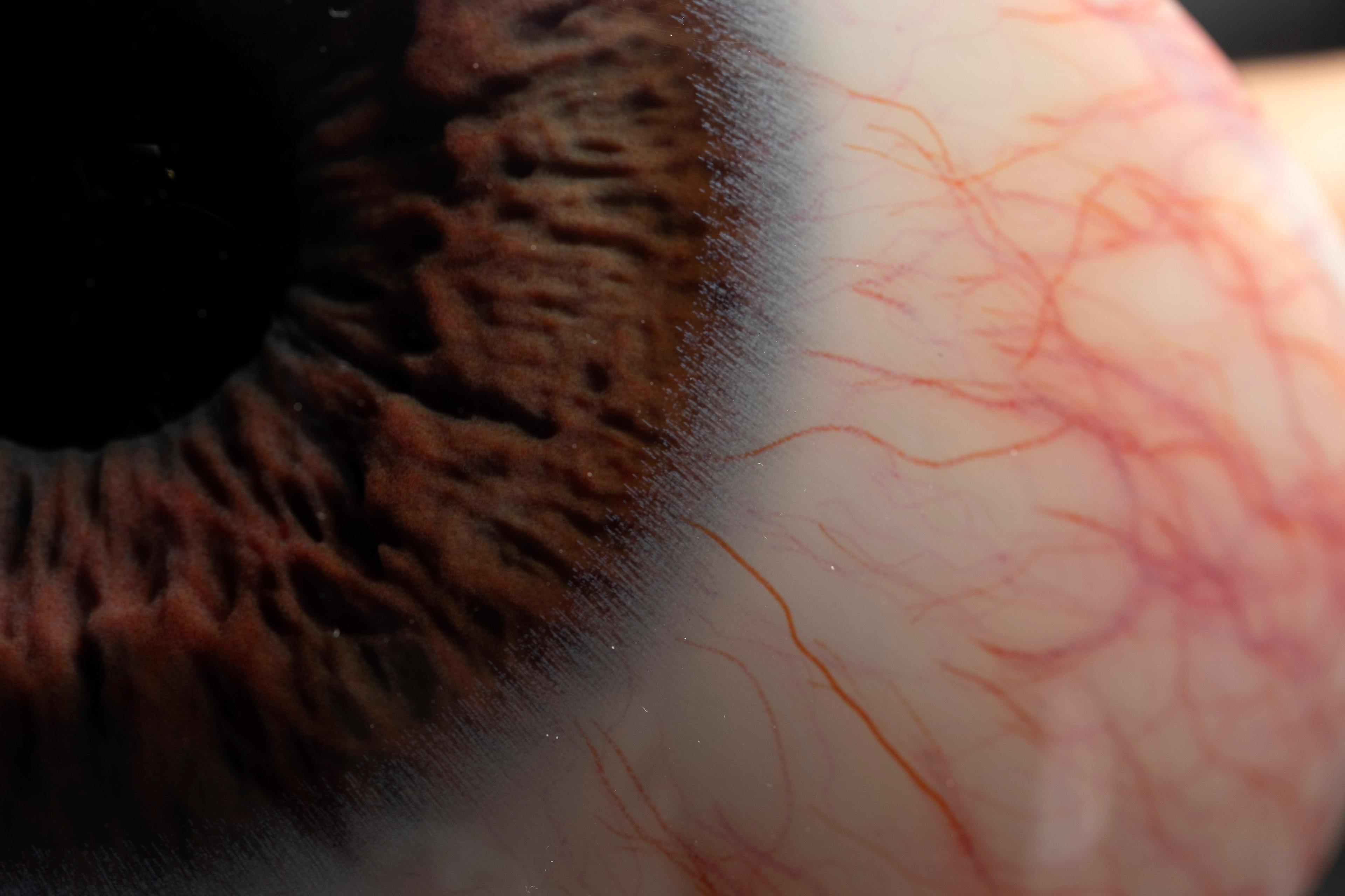 The eyes were printed on the Stratasys J750. They took hours to print which was very risky, if anything happened during the print it could wobble and introduce inaccuracies.