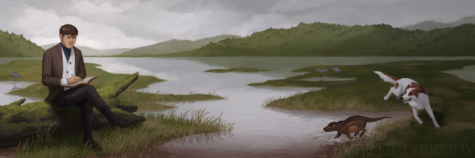 The Wetlands