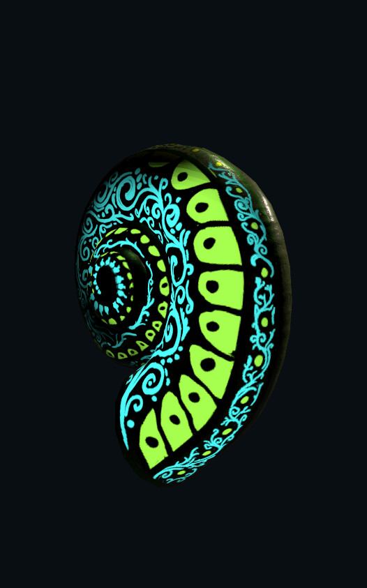 Better view of the pattern looping around the shell's meridian